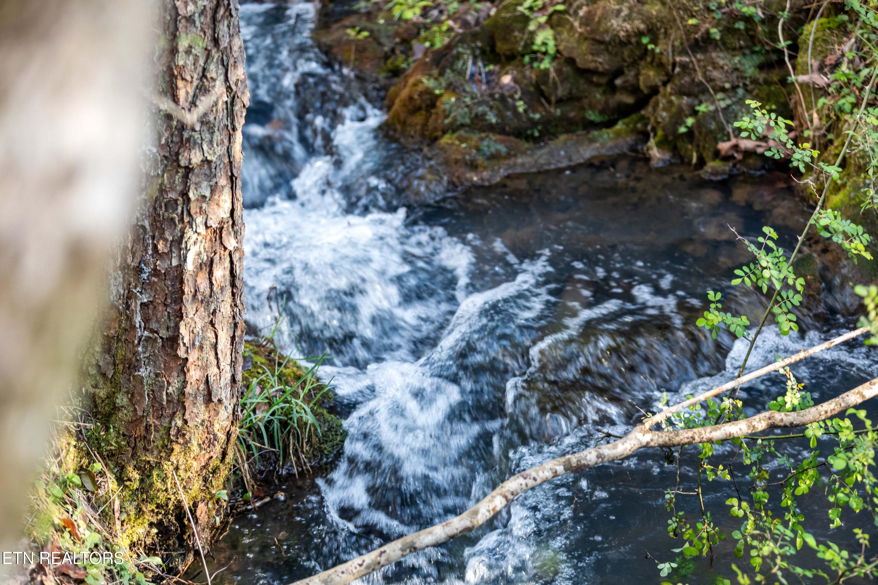 150 Clear Branch Rd N