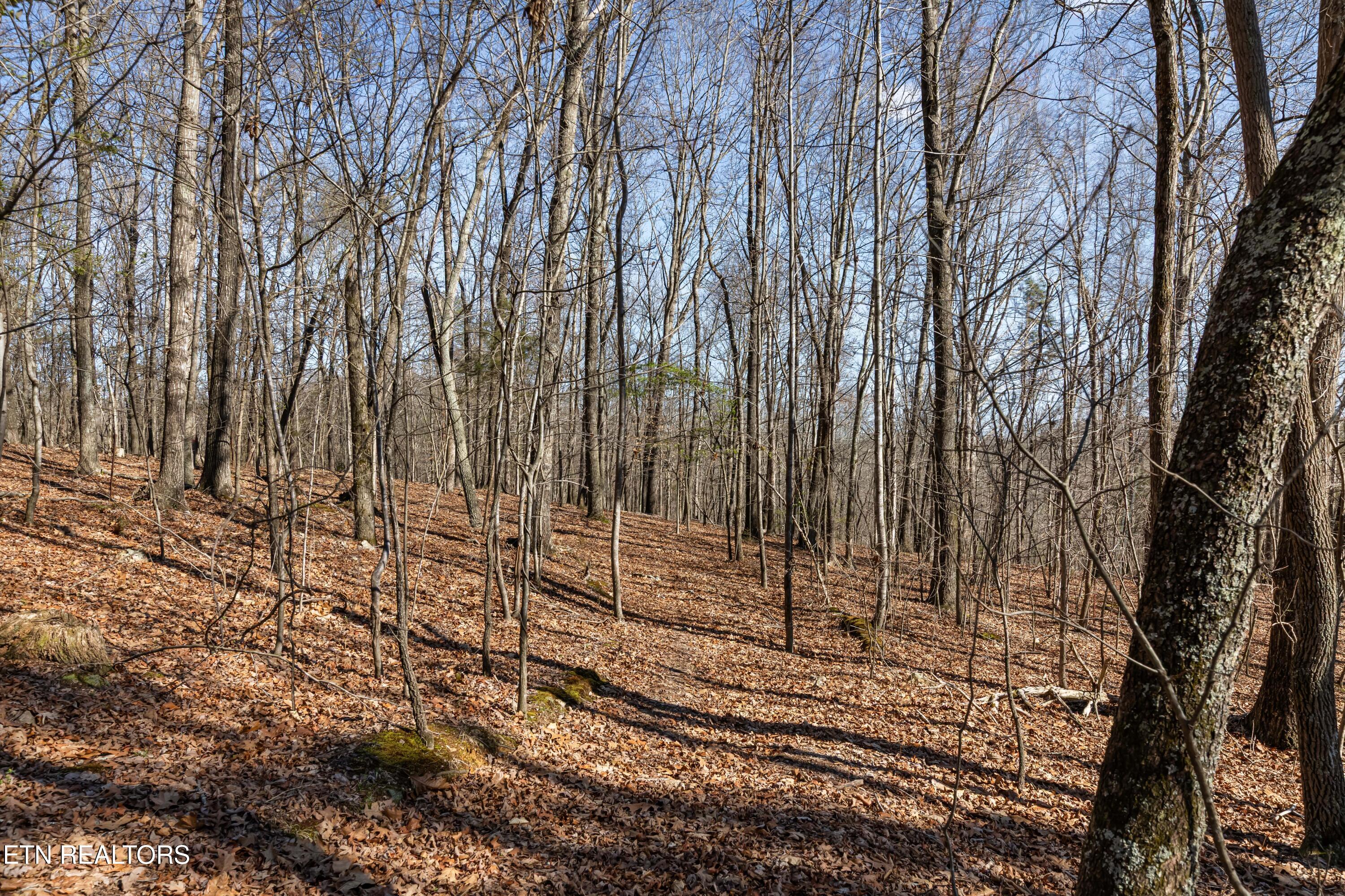 150 Clear Branch Rd N