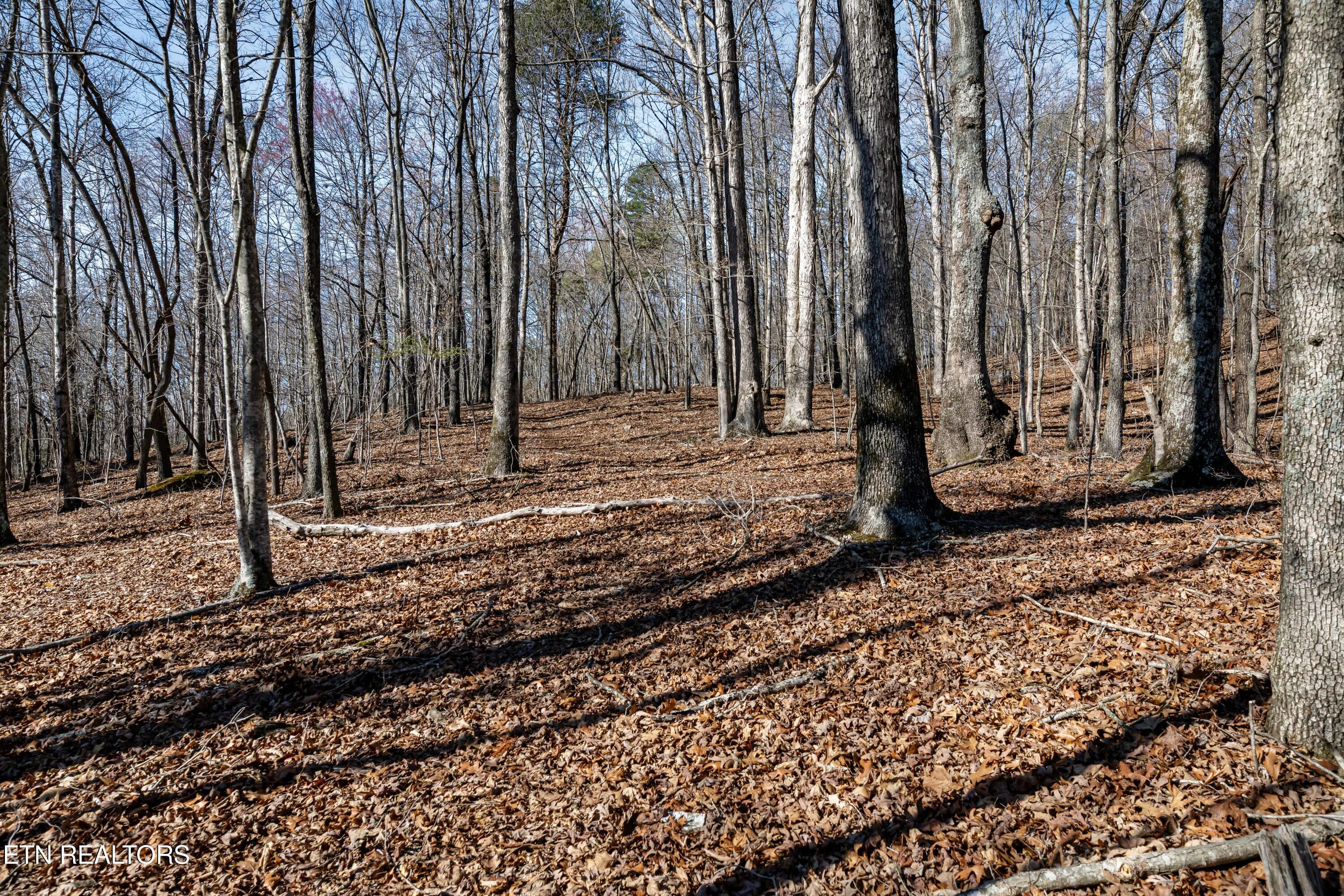 150 Clear Branch Rd N