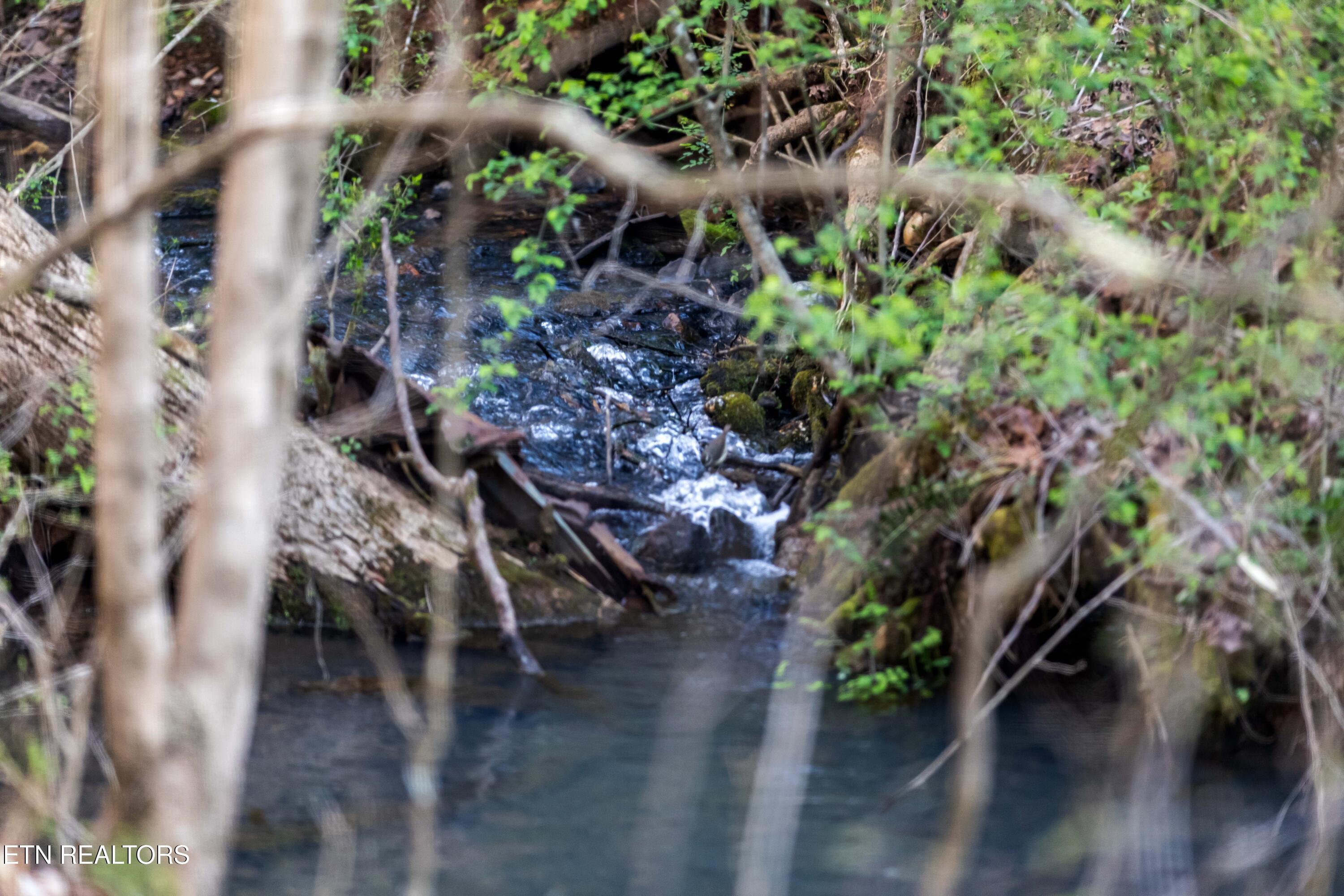 150 Clear Branch Rd N