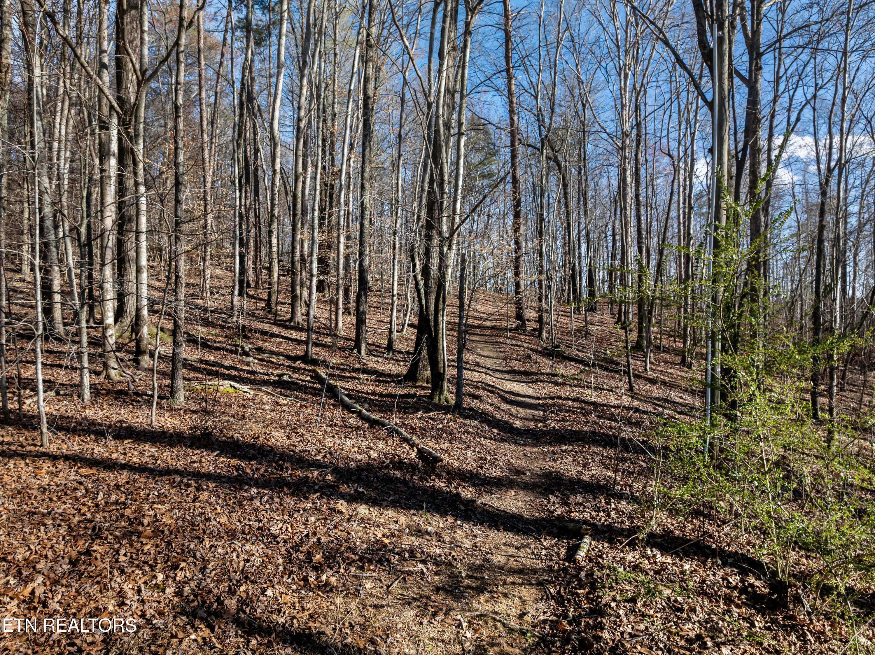 150 Clear Branch Rd N