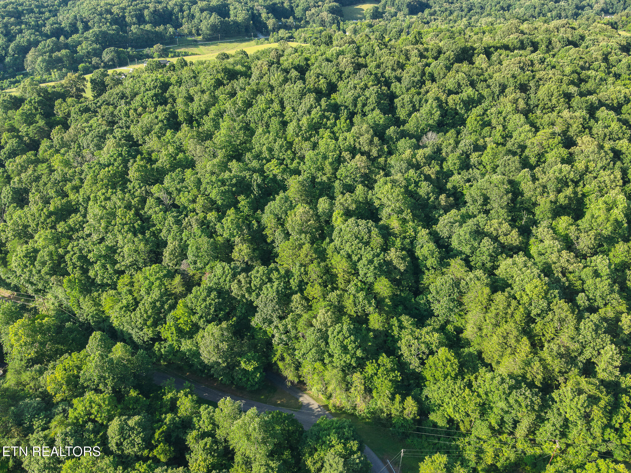 150 Clear Branch Rd N