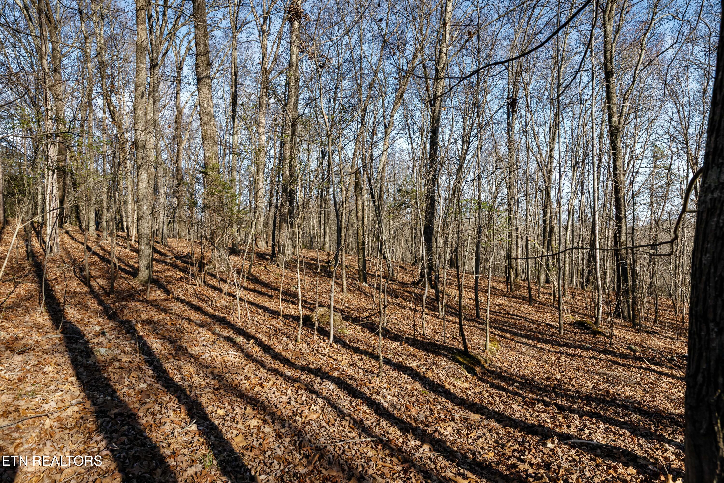 150 Clear Branch Rd N