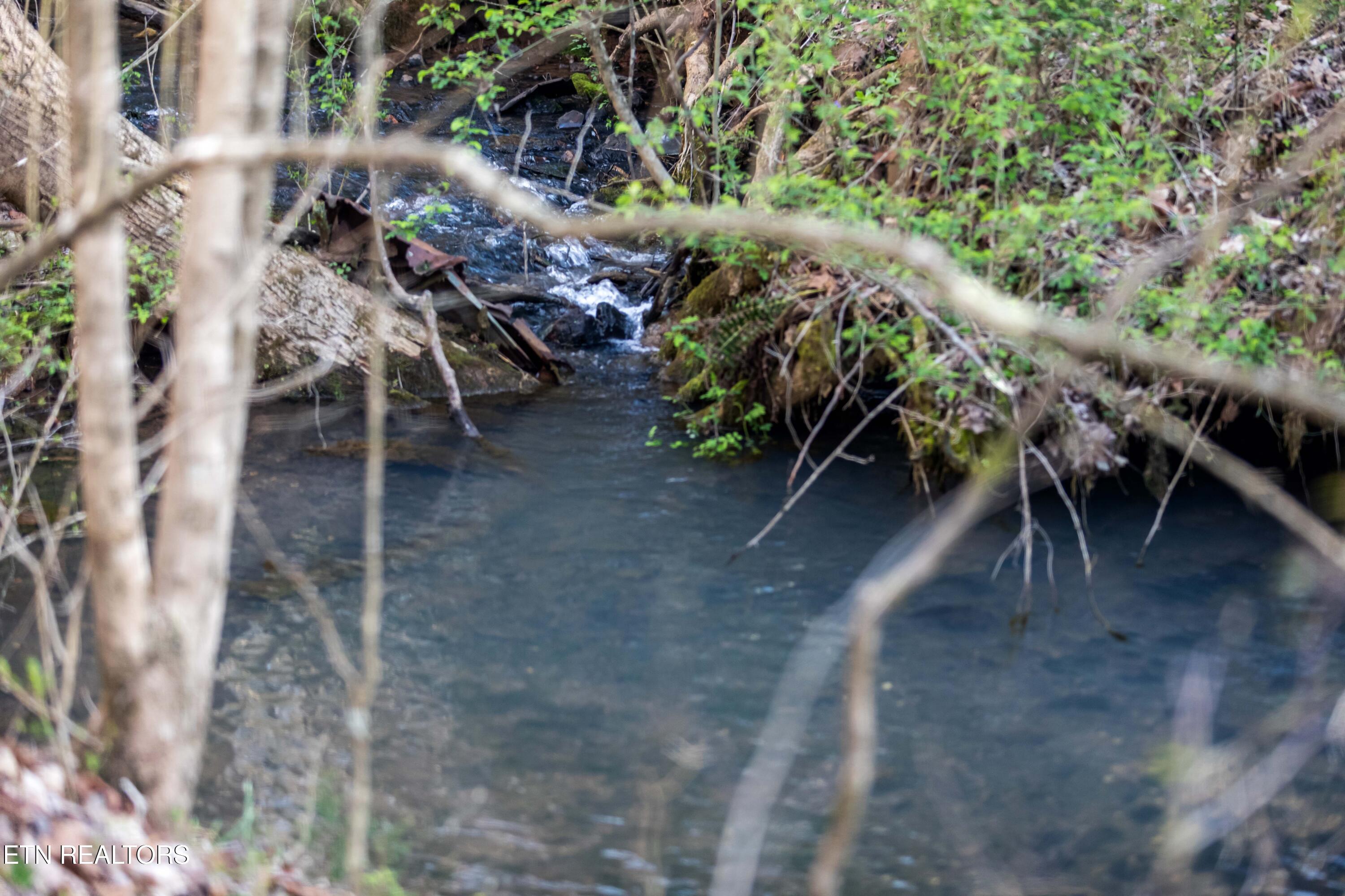 150 Clear Branch Rd N