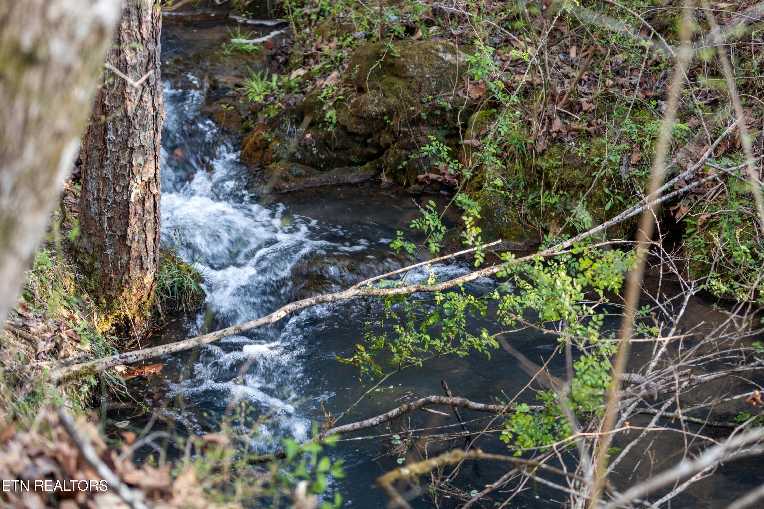 150 Clear Branch Rd N