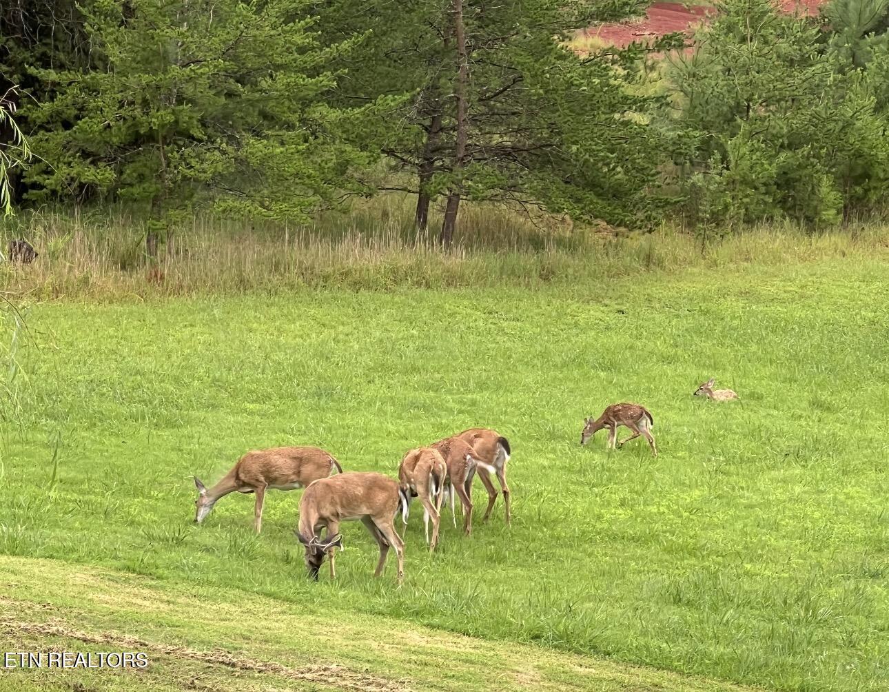 6625 Riverview Golf Drive