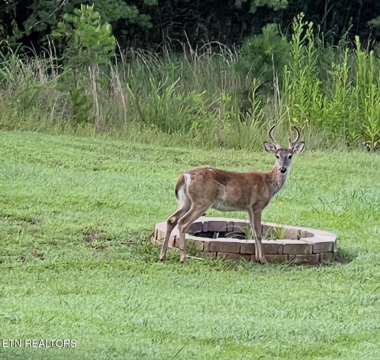 6625 Riverview Golf Drive