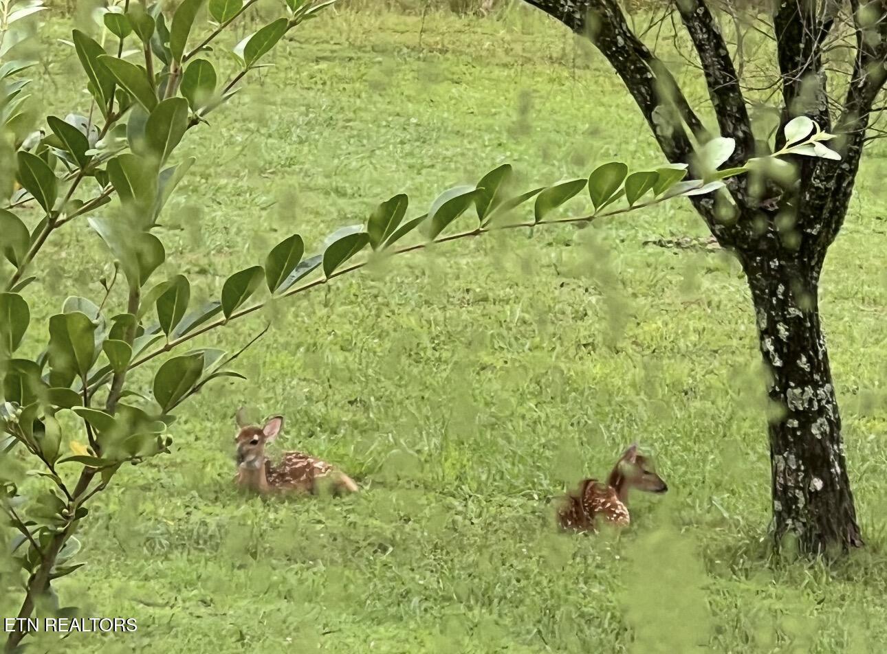 6625 Riverview Golf Drive