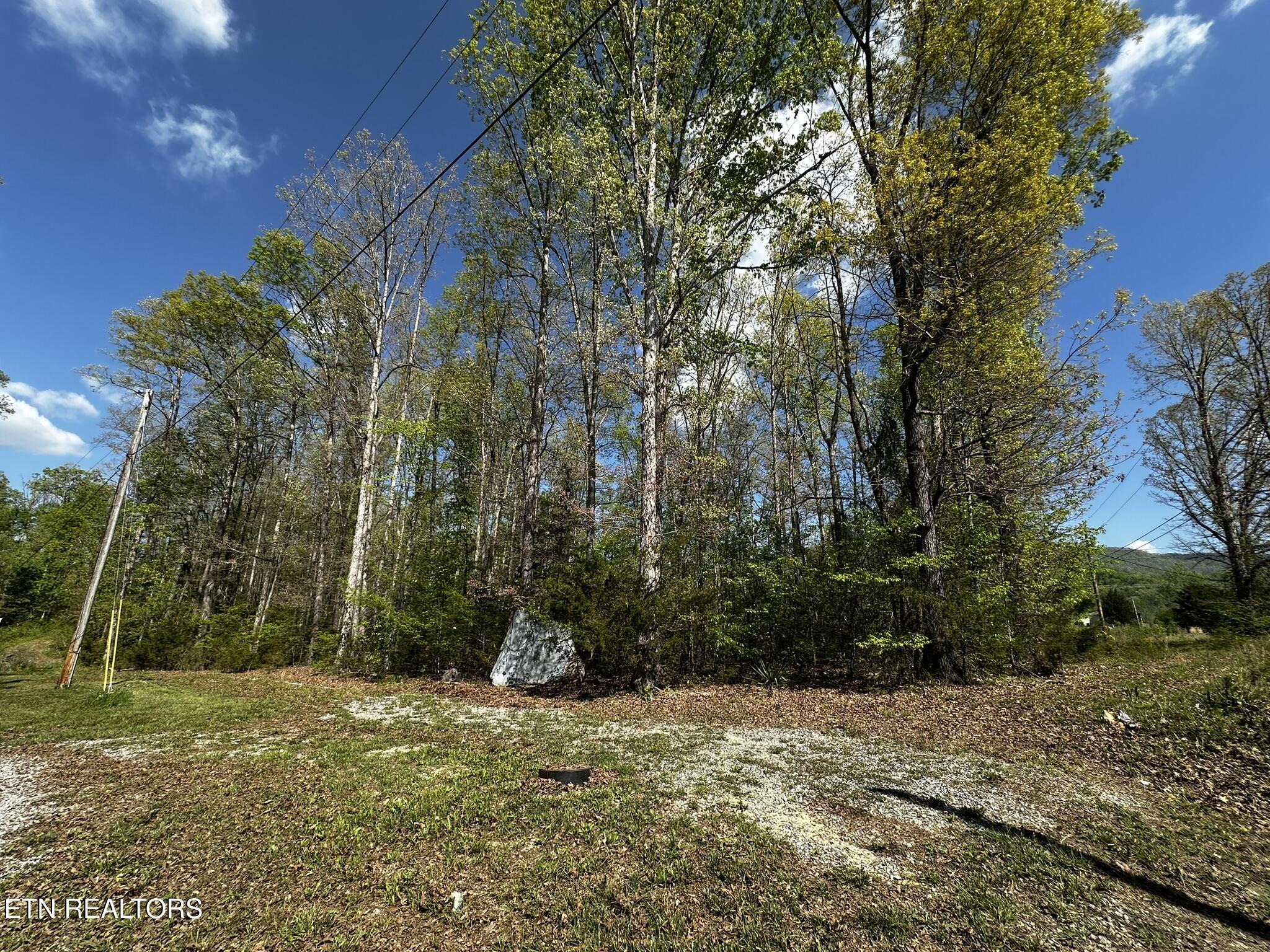 105 Johnson Hollow Lane