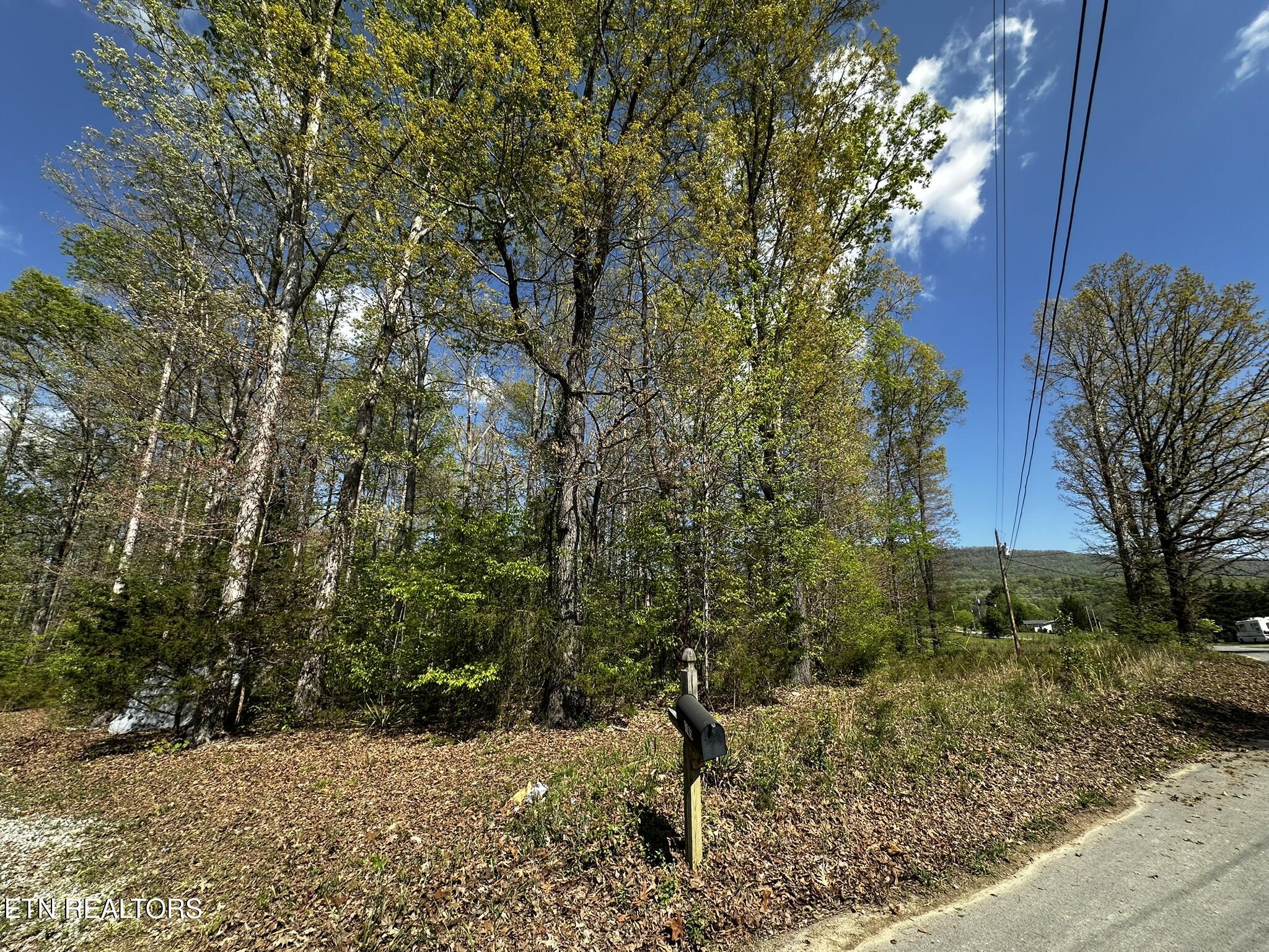 105 Johnson Hollow Lane
