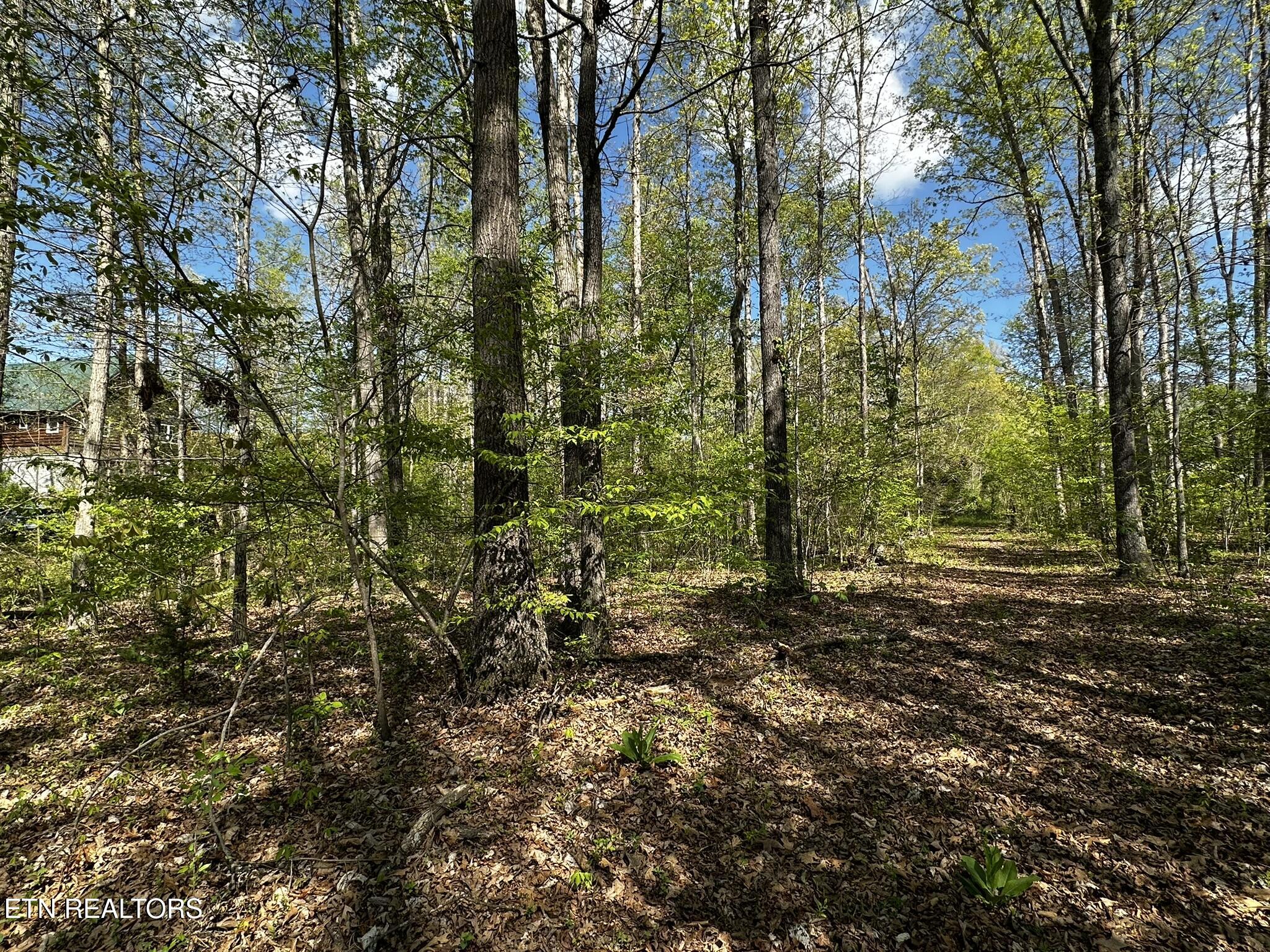 105 Johnson Hollow Lane