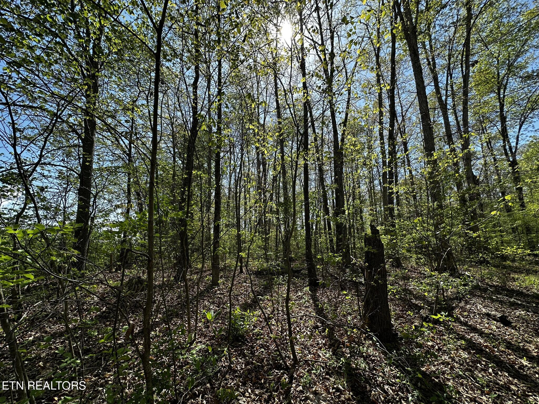 105 Johnson Hollow Lane
