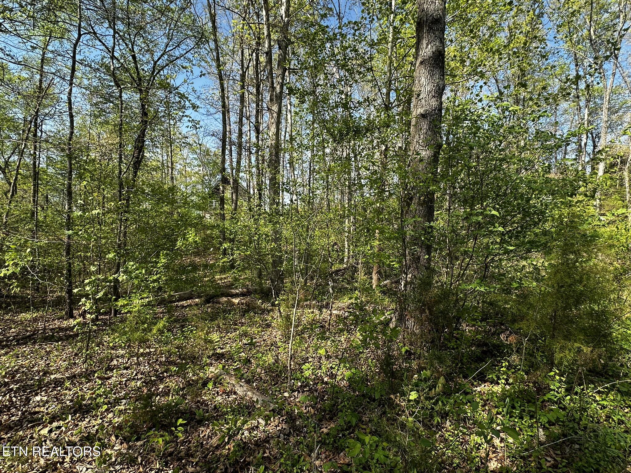 105 Johnson Hollow Lane
