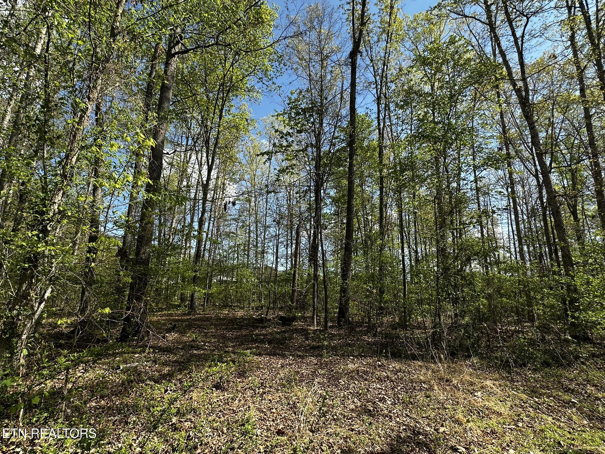 105 Johnson Hollow Lane