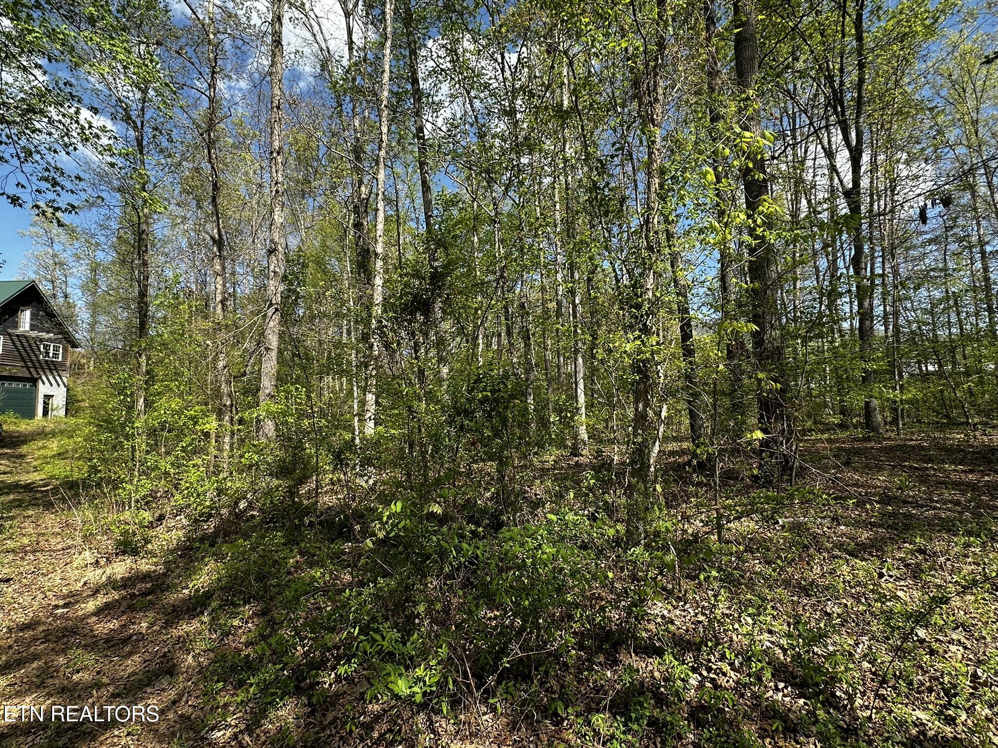 105 Johnson Hollow Lane