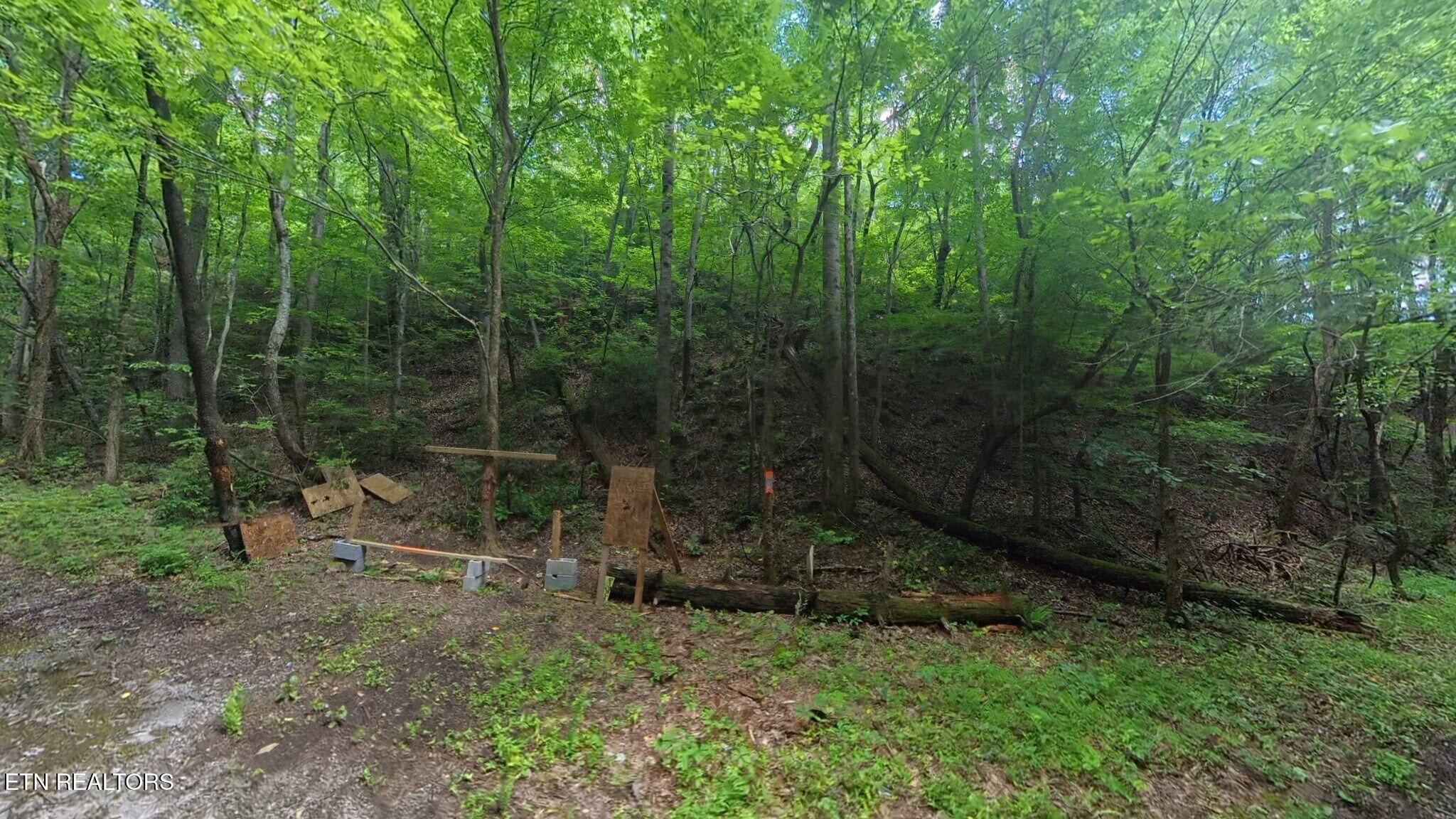 195 Sherwood Lane