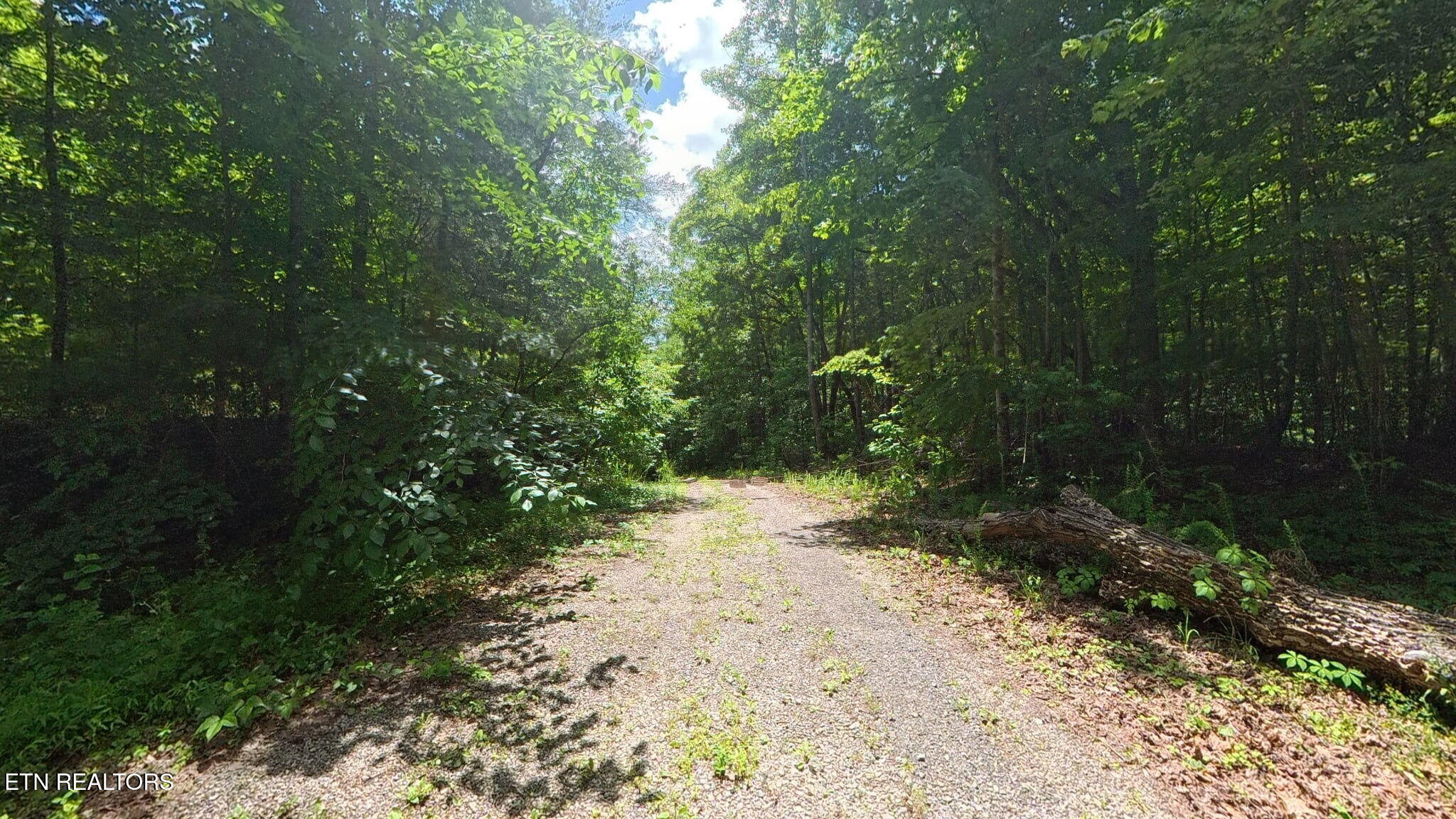 195 Sherwood Lane