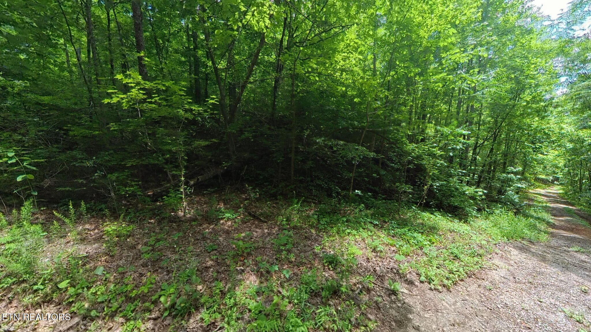 195 Sherwood Lane