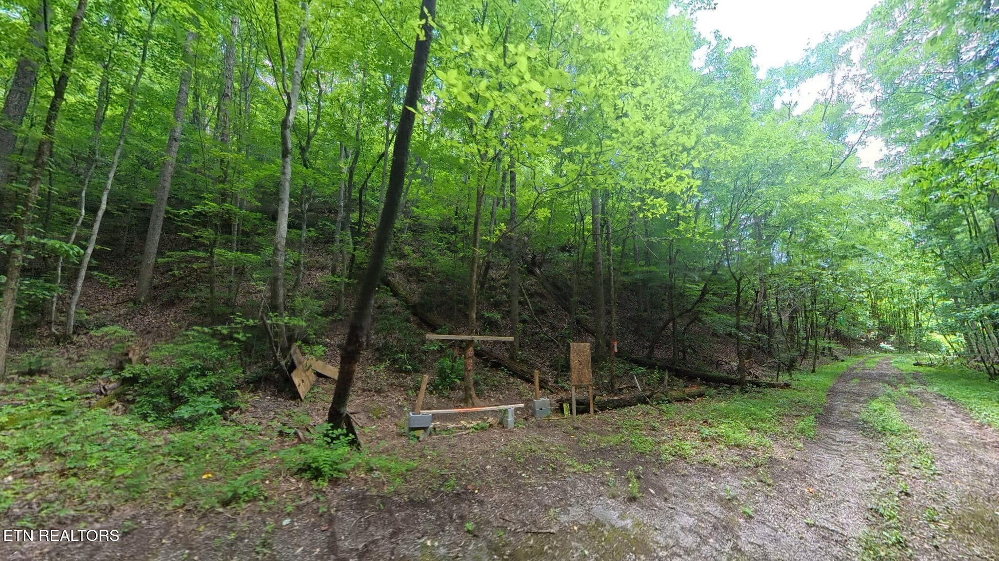 195 Sherwood Lane
