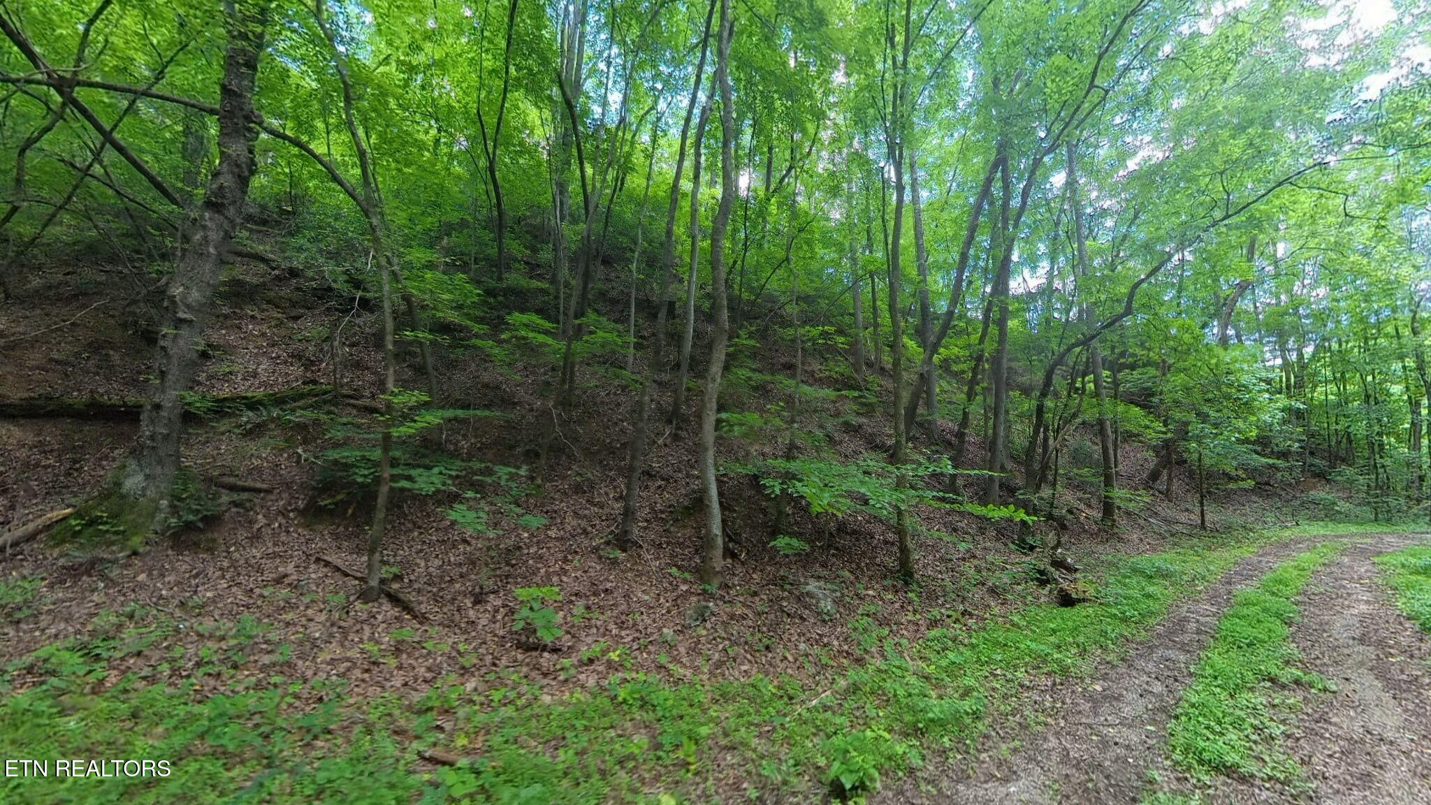 195 Sherwood Lane