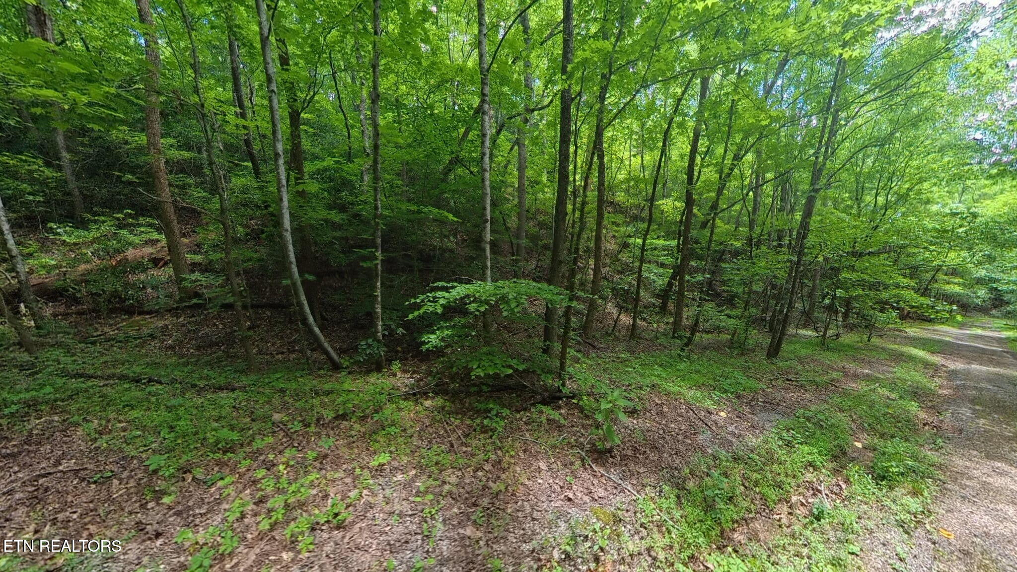 195 Sherwood Lane