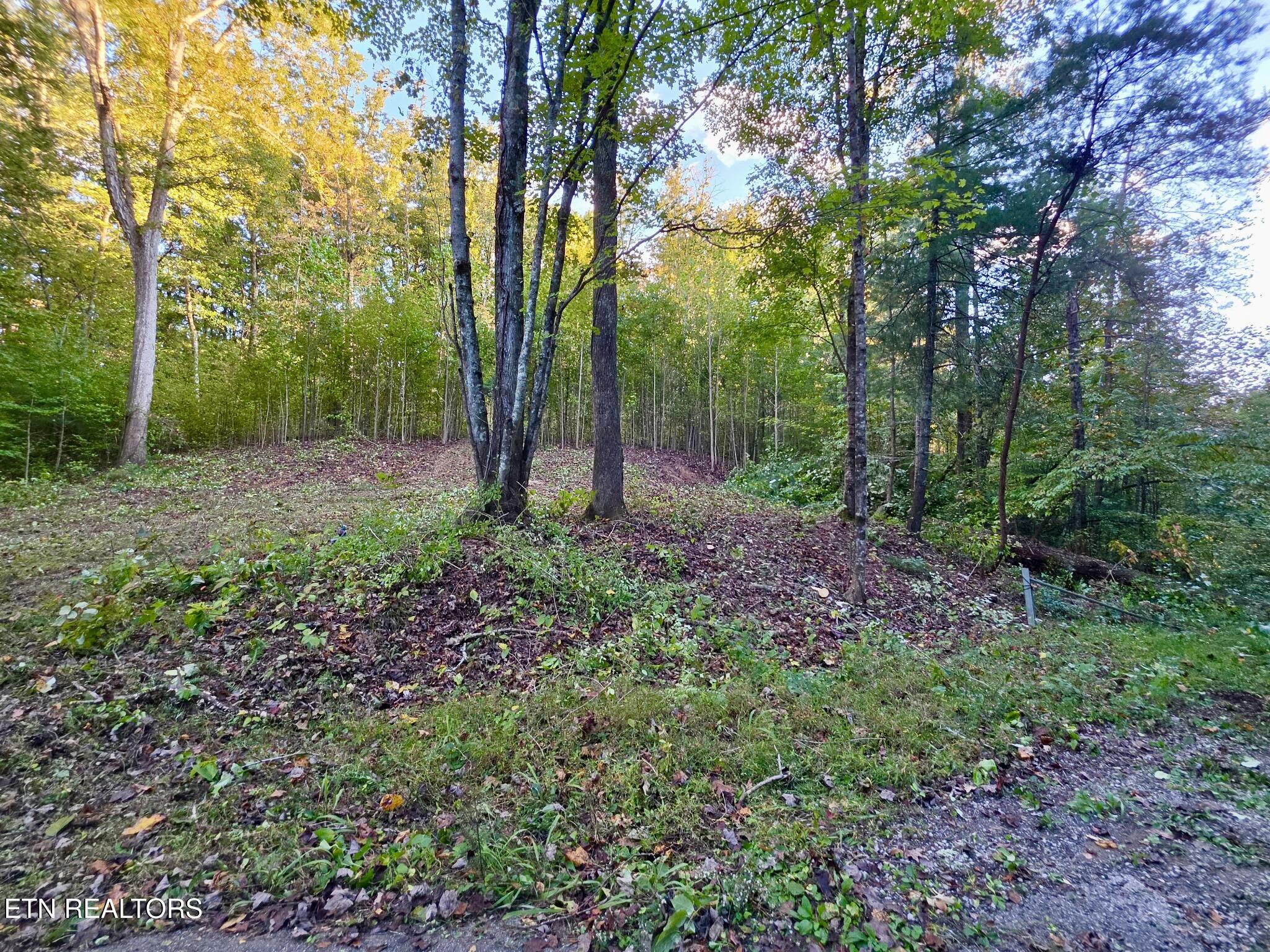 195 Sherwood Lane