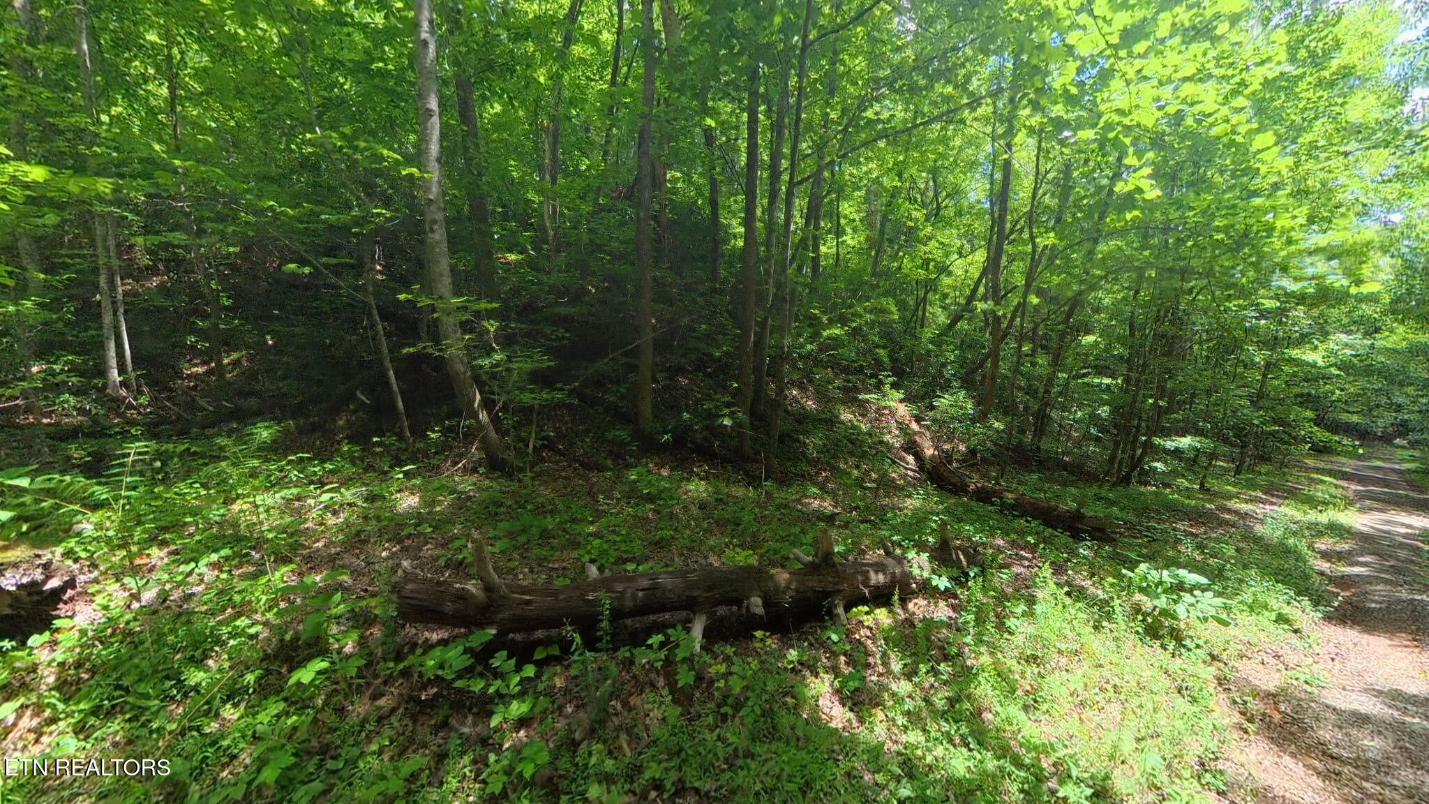 195 Sherwood Lane