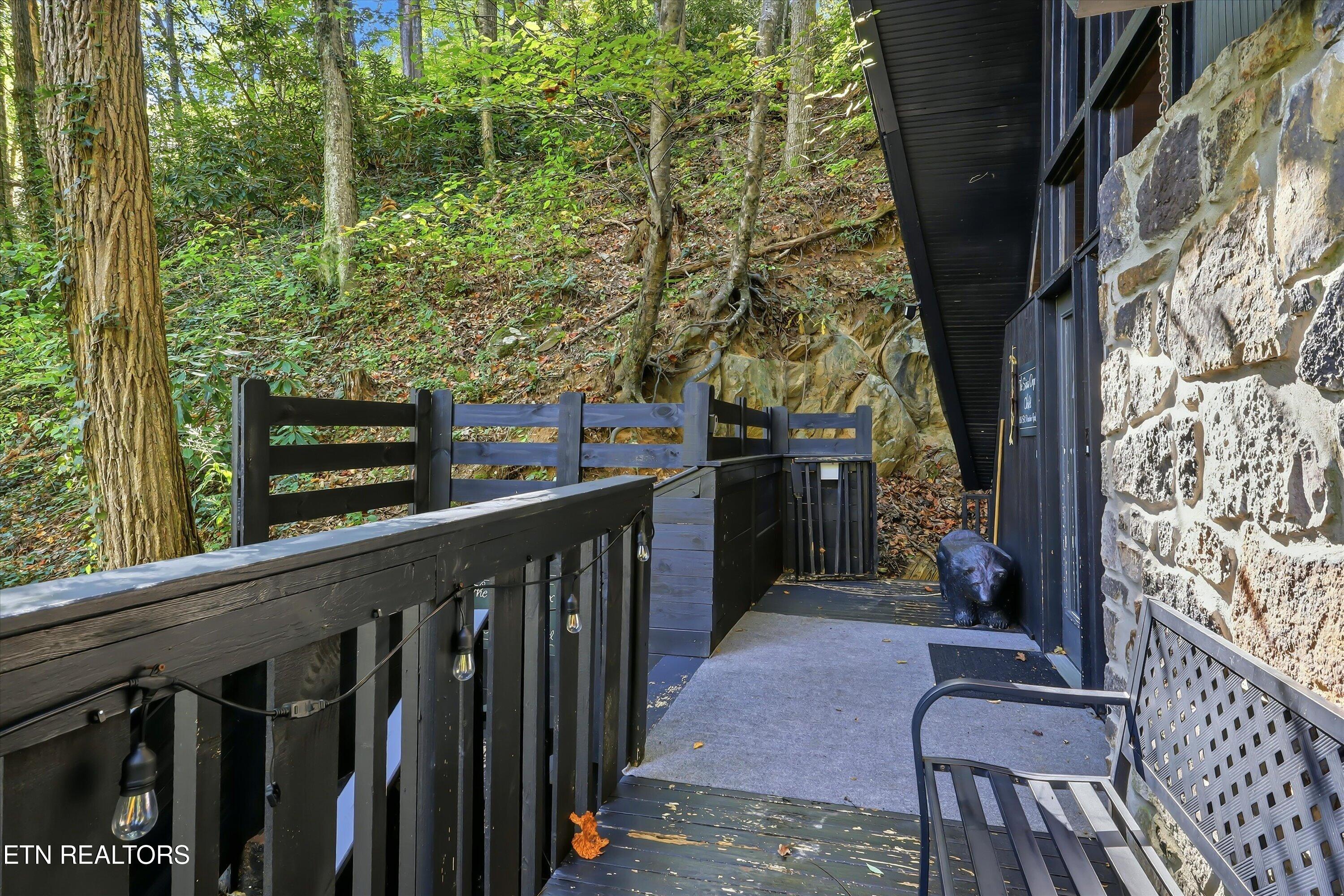 1161 Ski Mountain Rd