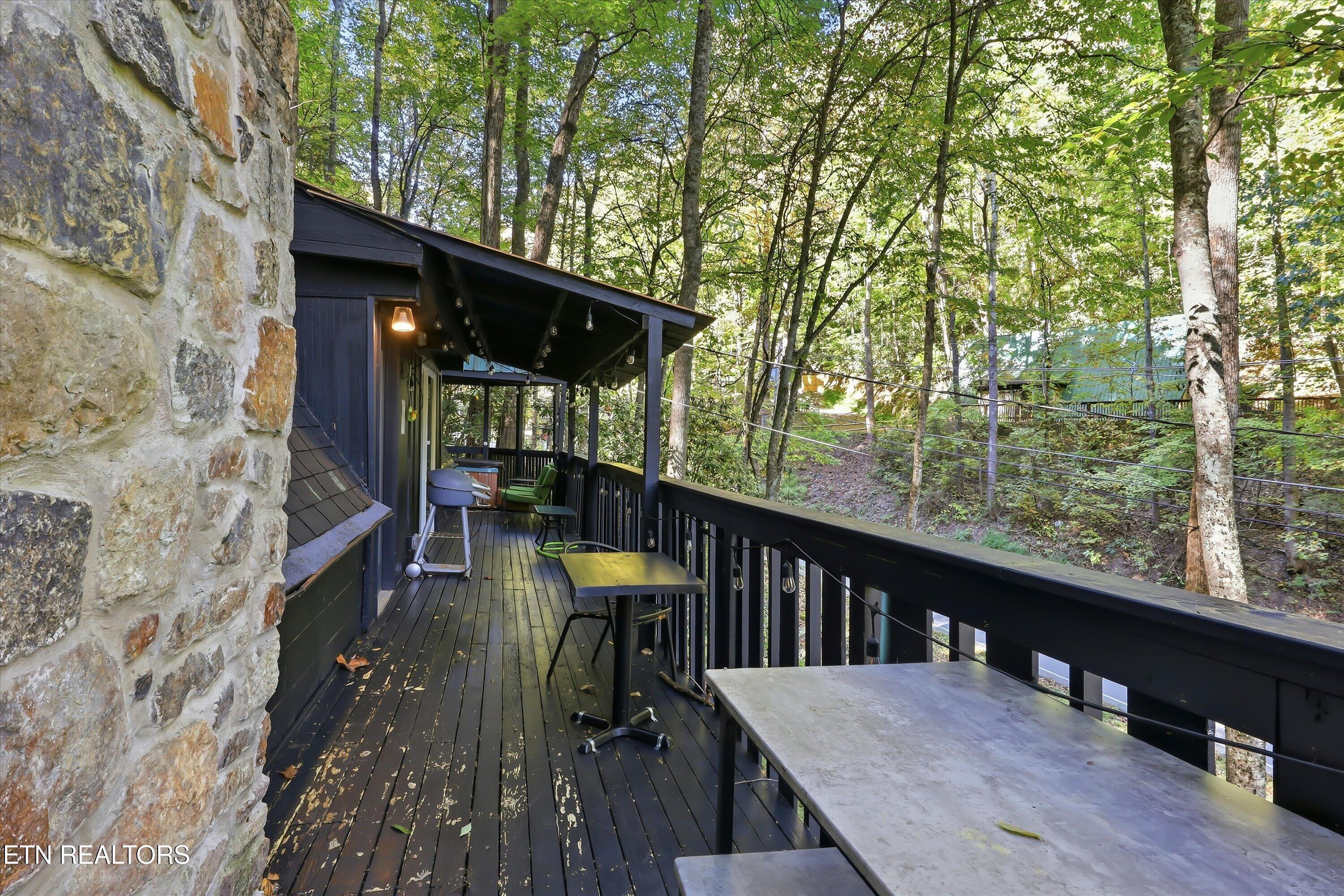 1161 Ski Mountain Rd