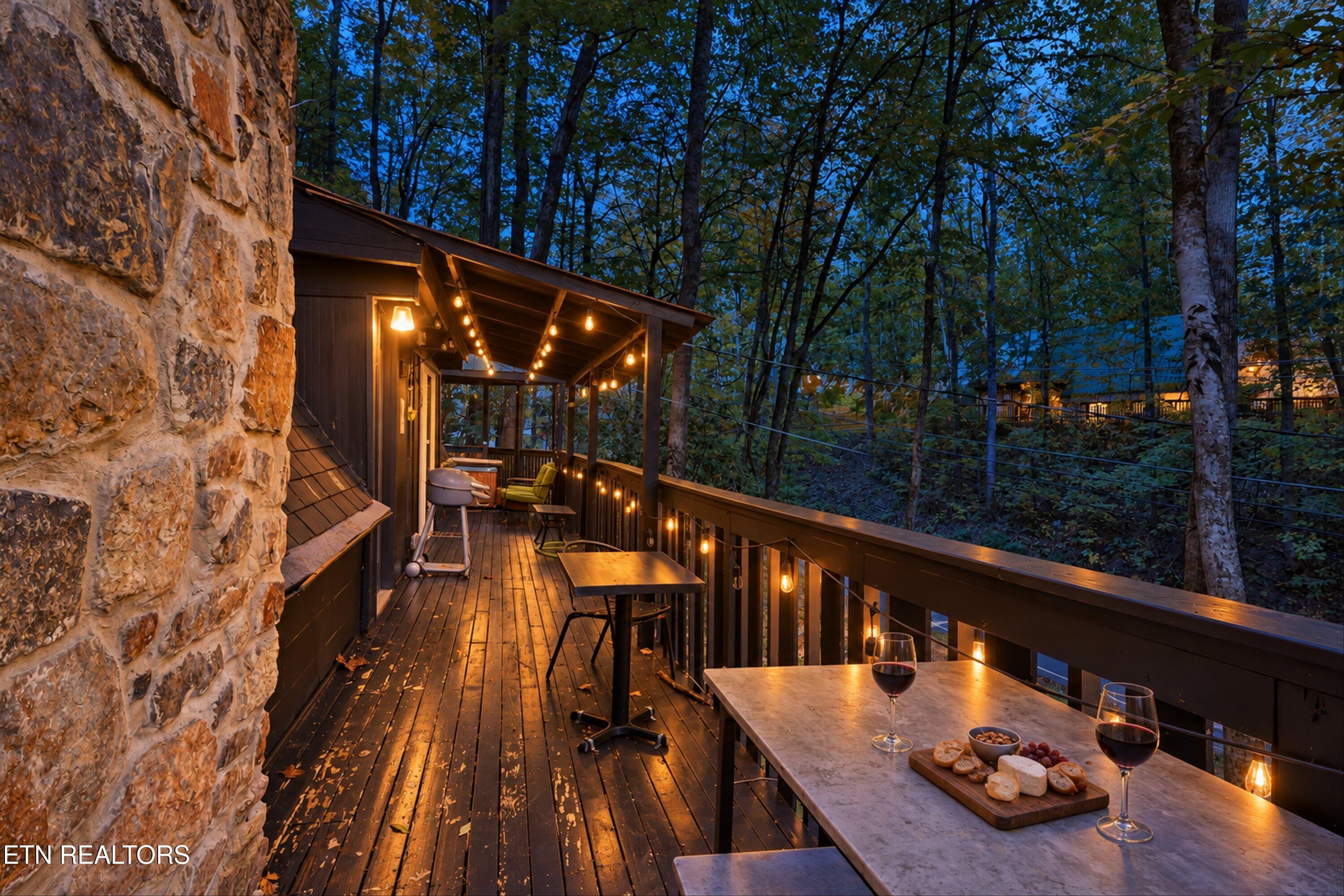 1161 Ski Mountain Rd