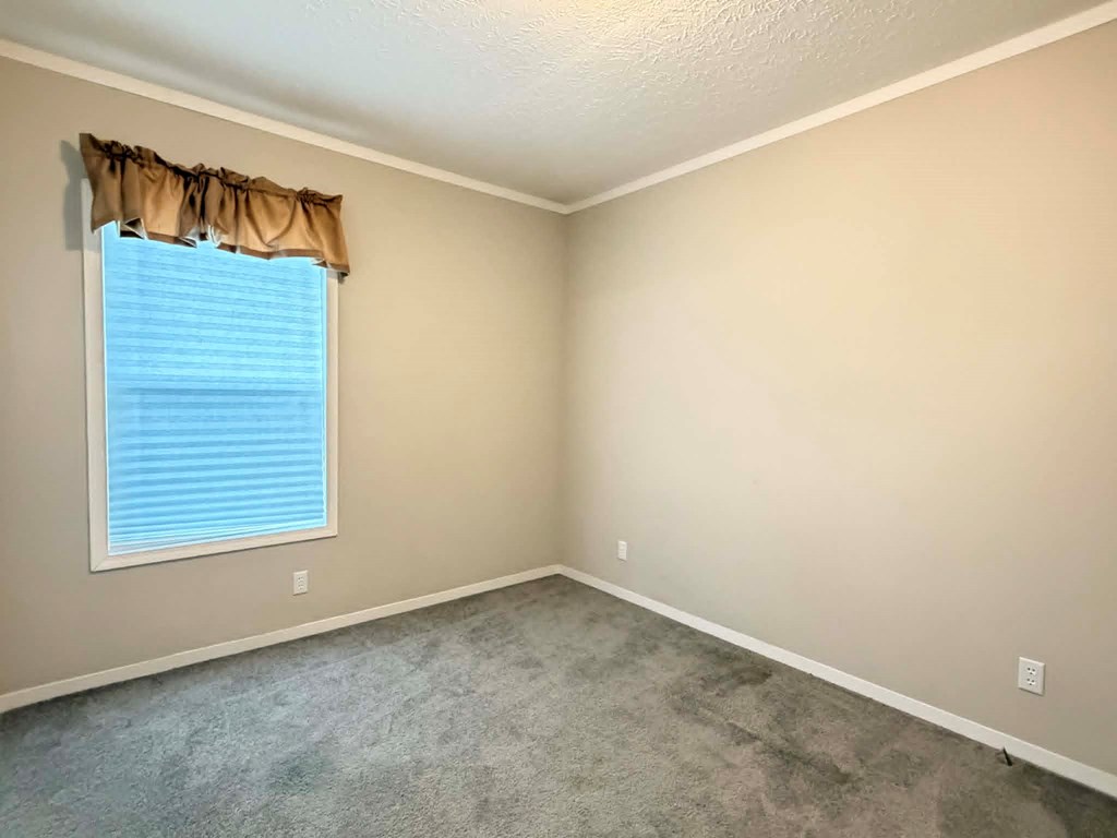 381 Dixon Road