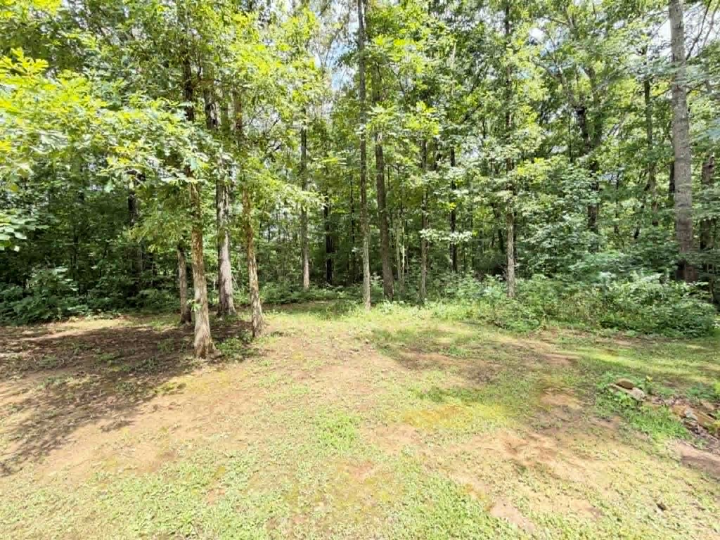 381 Dixon Road