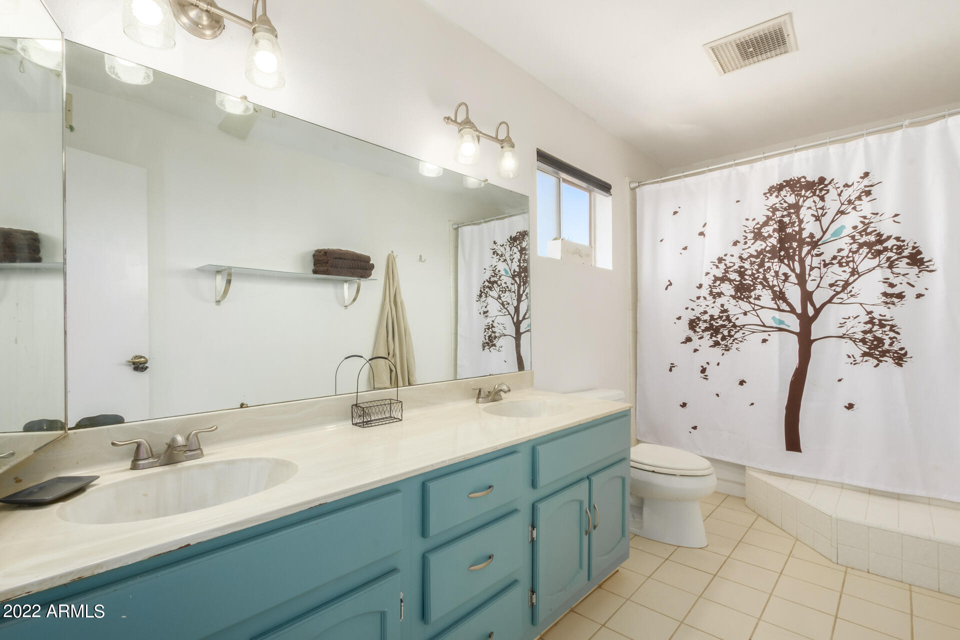 1329 W LAGUNA AZUL Avenue
