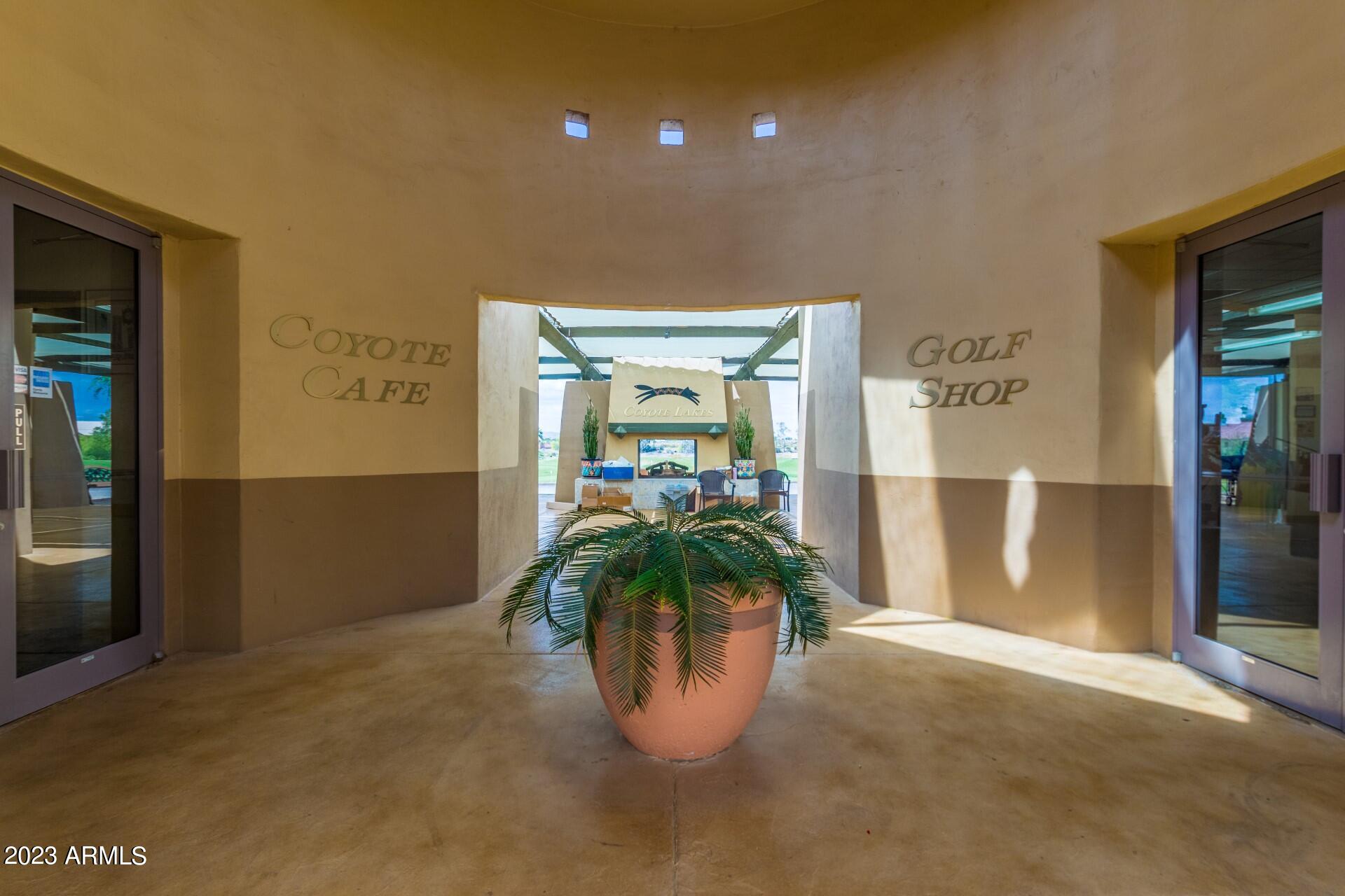 11652 W PRICKLY PEAR Court