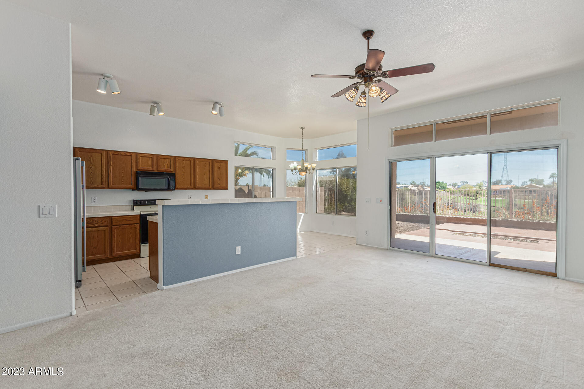 11652 W PRICKLY PEAR Court