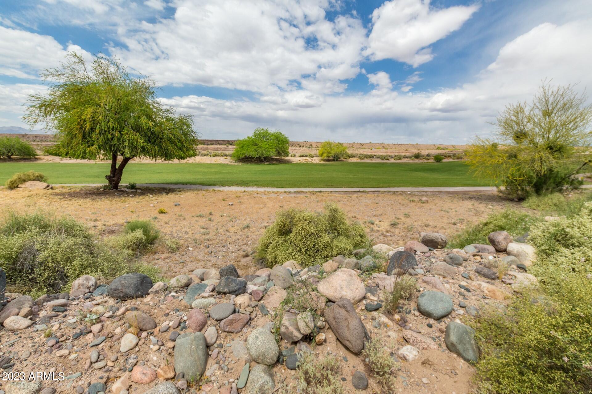 11652 W PRICKLY PEAR Court