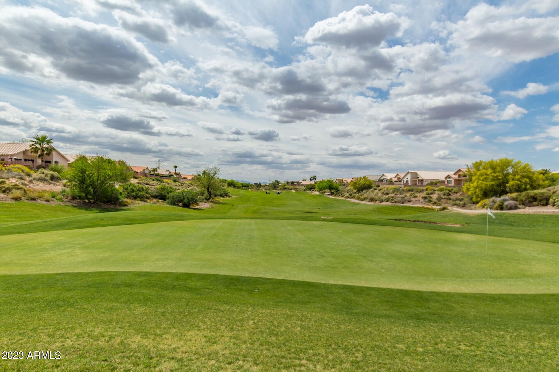 11652 W PRICKLY PEAR Court