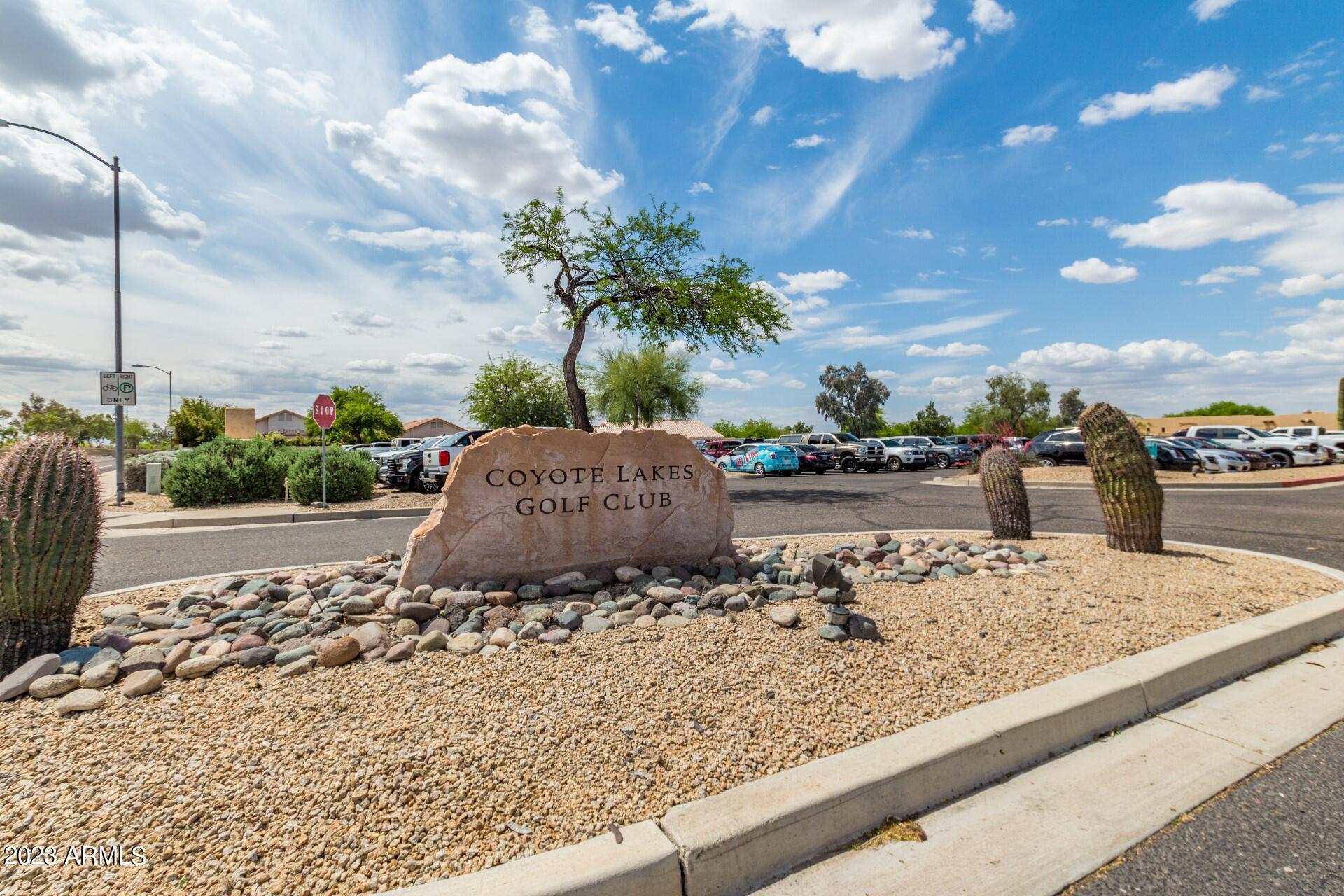 11652 W PRICKLY PEAR Court