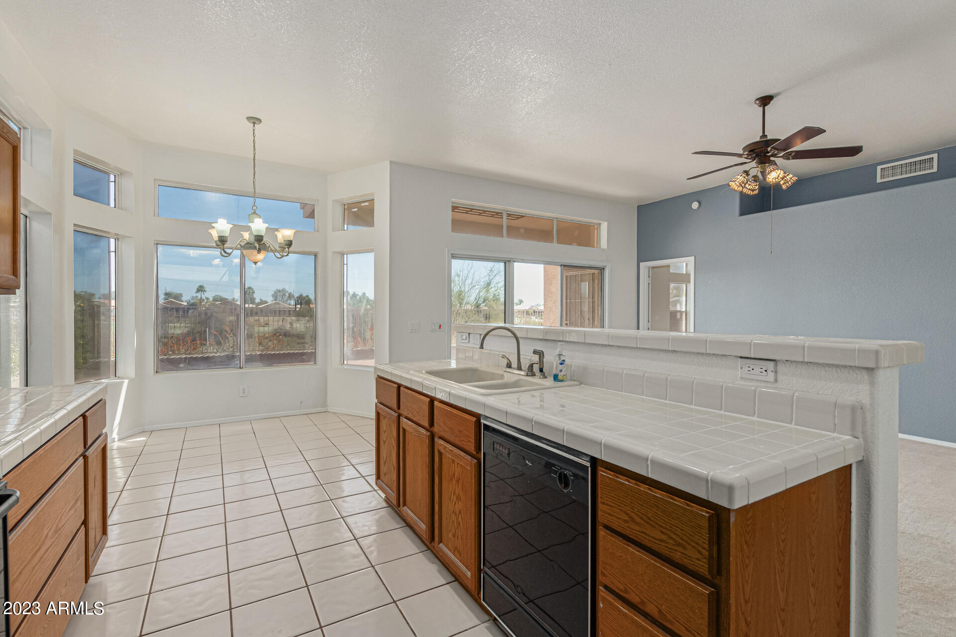 11652 W PRICKLY PEAR Court