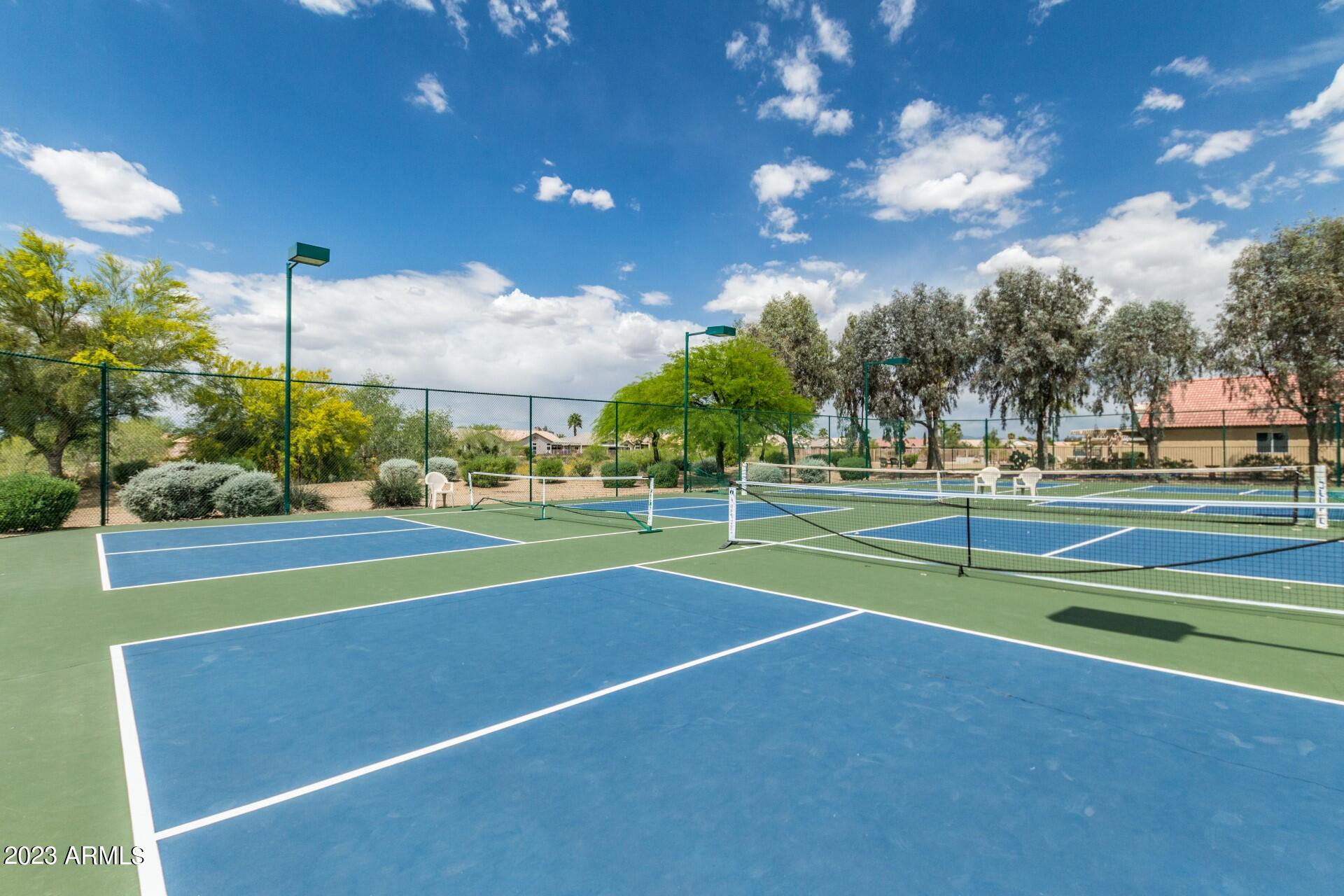 11652 W PRICKLY PEAR Court