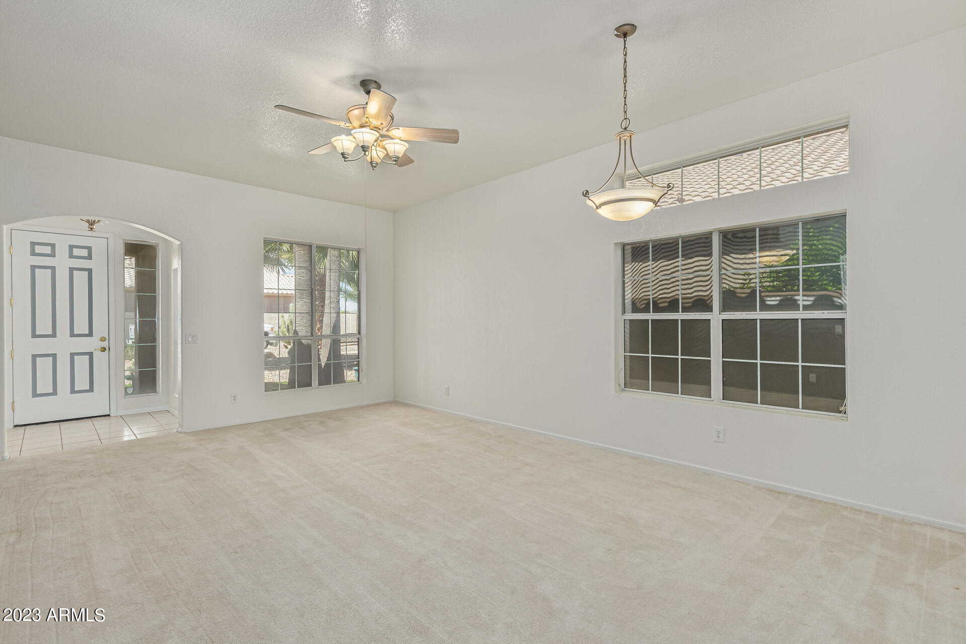 11652 W PRICKLY PEAR Court