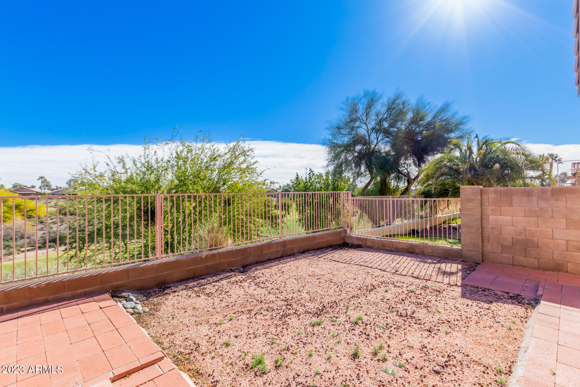 11652 W PRICKLY PEAR Court