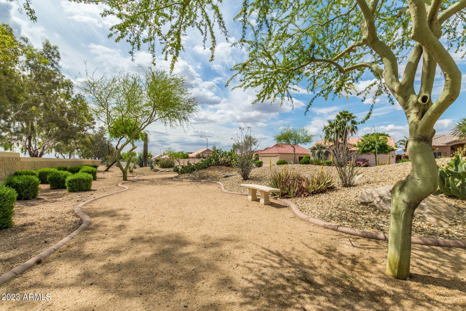 11652 W PRICKLY PEAR Court