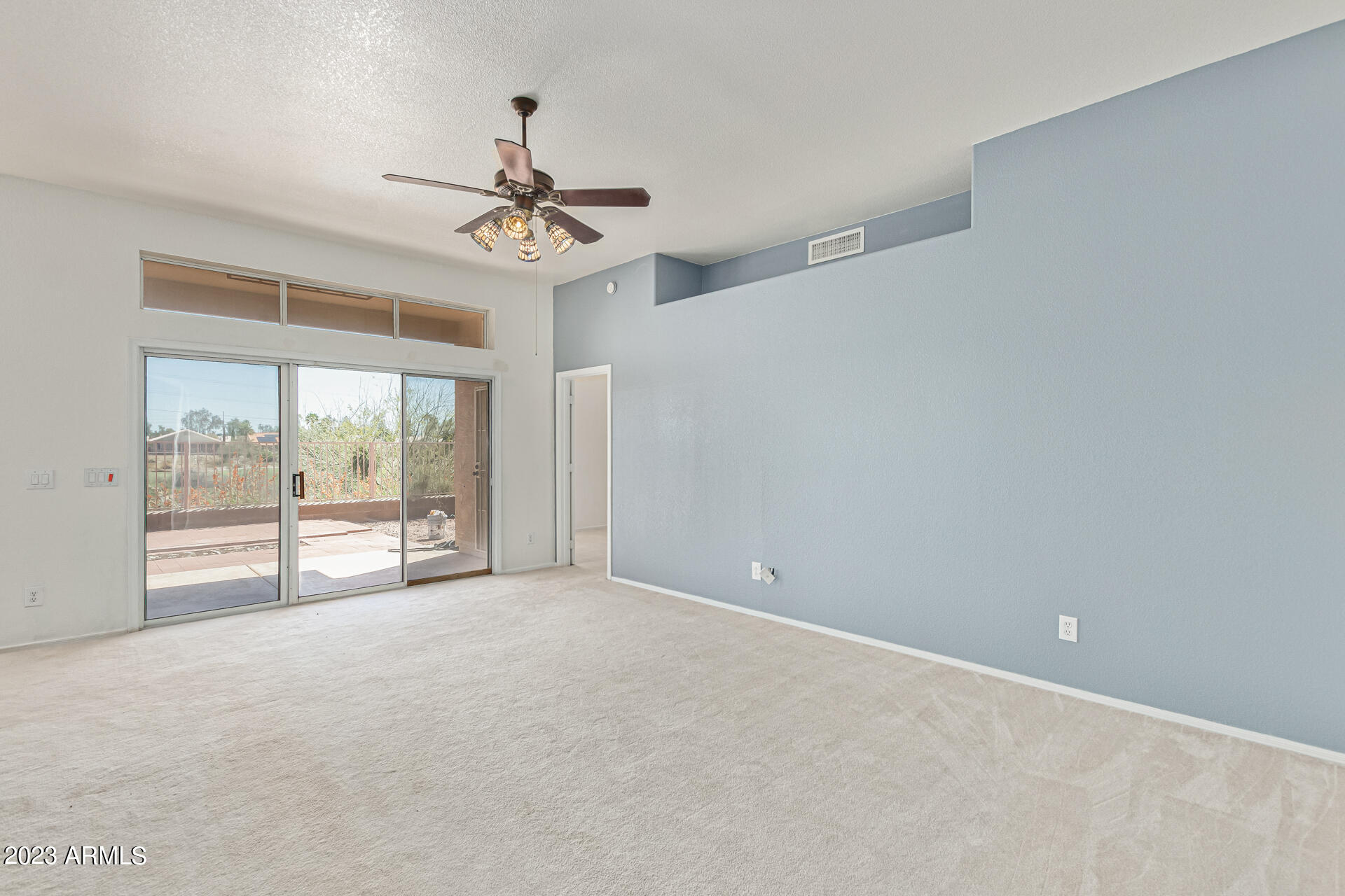 11652 W PRICKLY PEAR Court