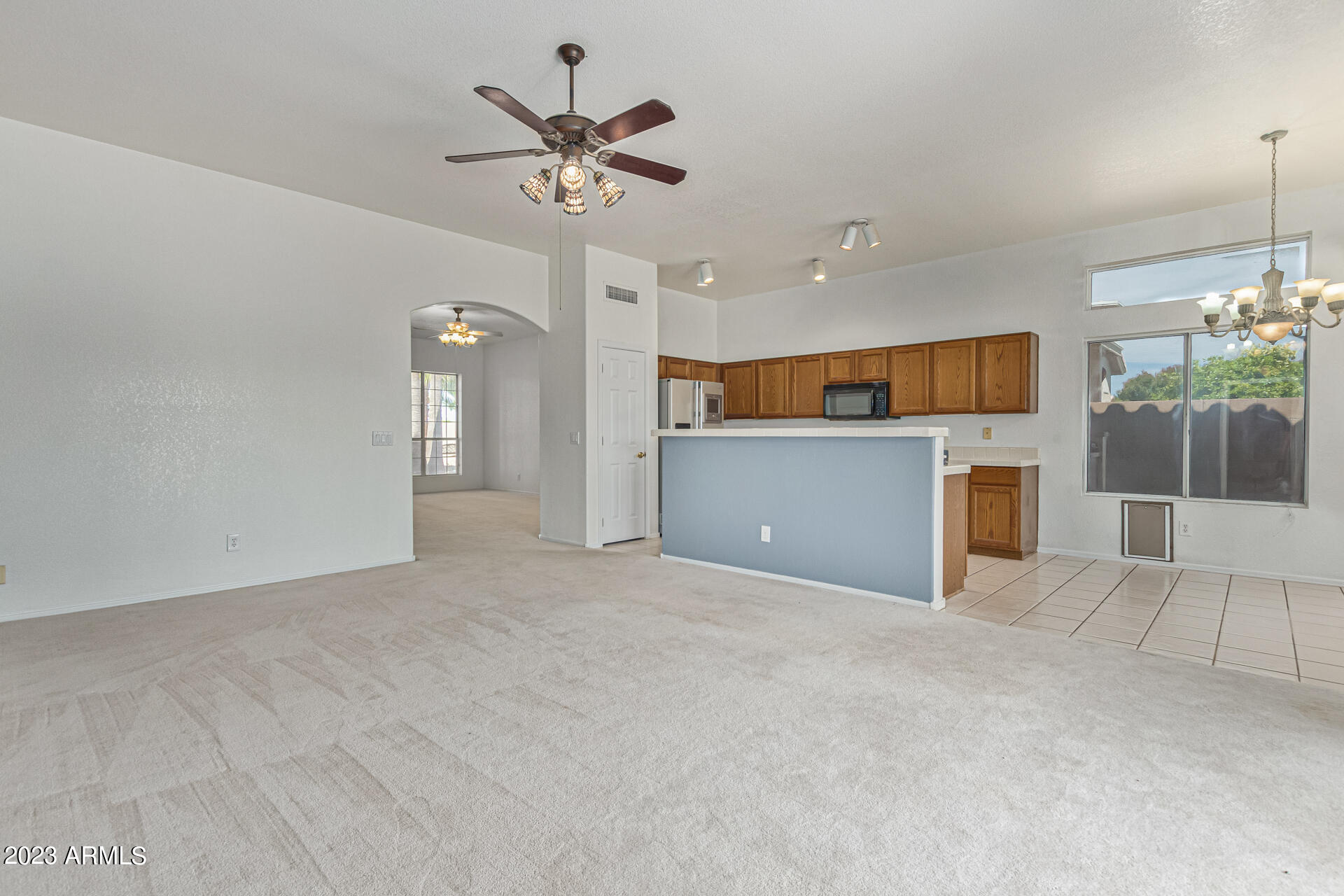 11652 W PRICKLY PEAR Court