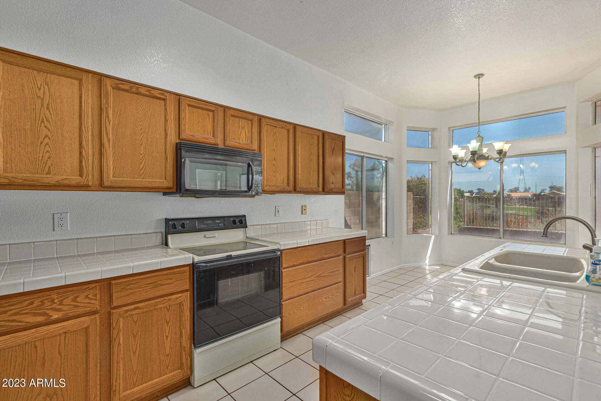 11652 W PRICKLY PEAR Court