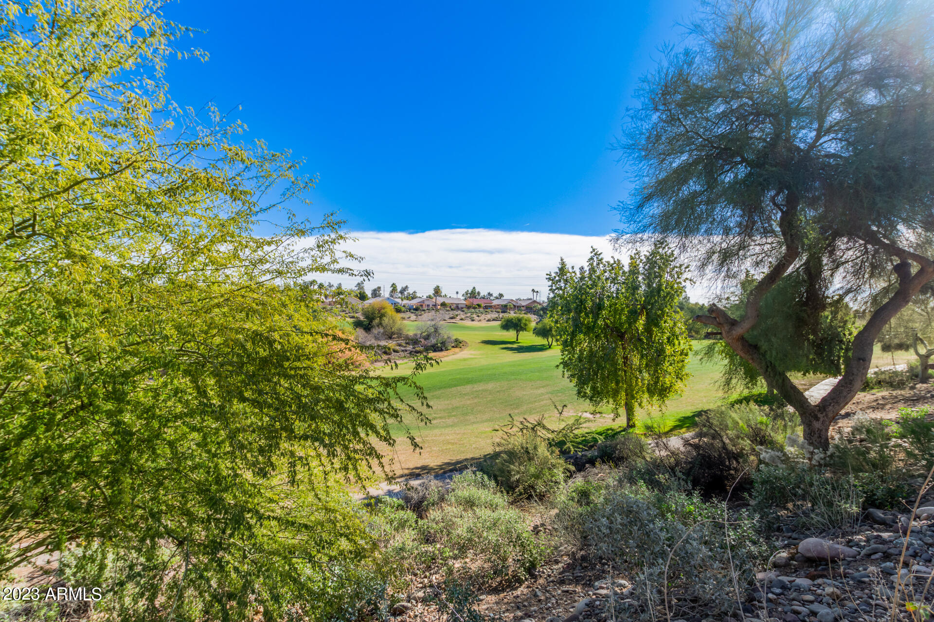 11652 W PRICKLY PEAR Court