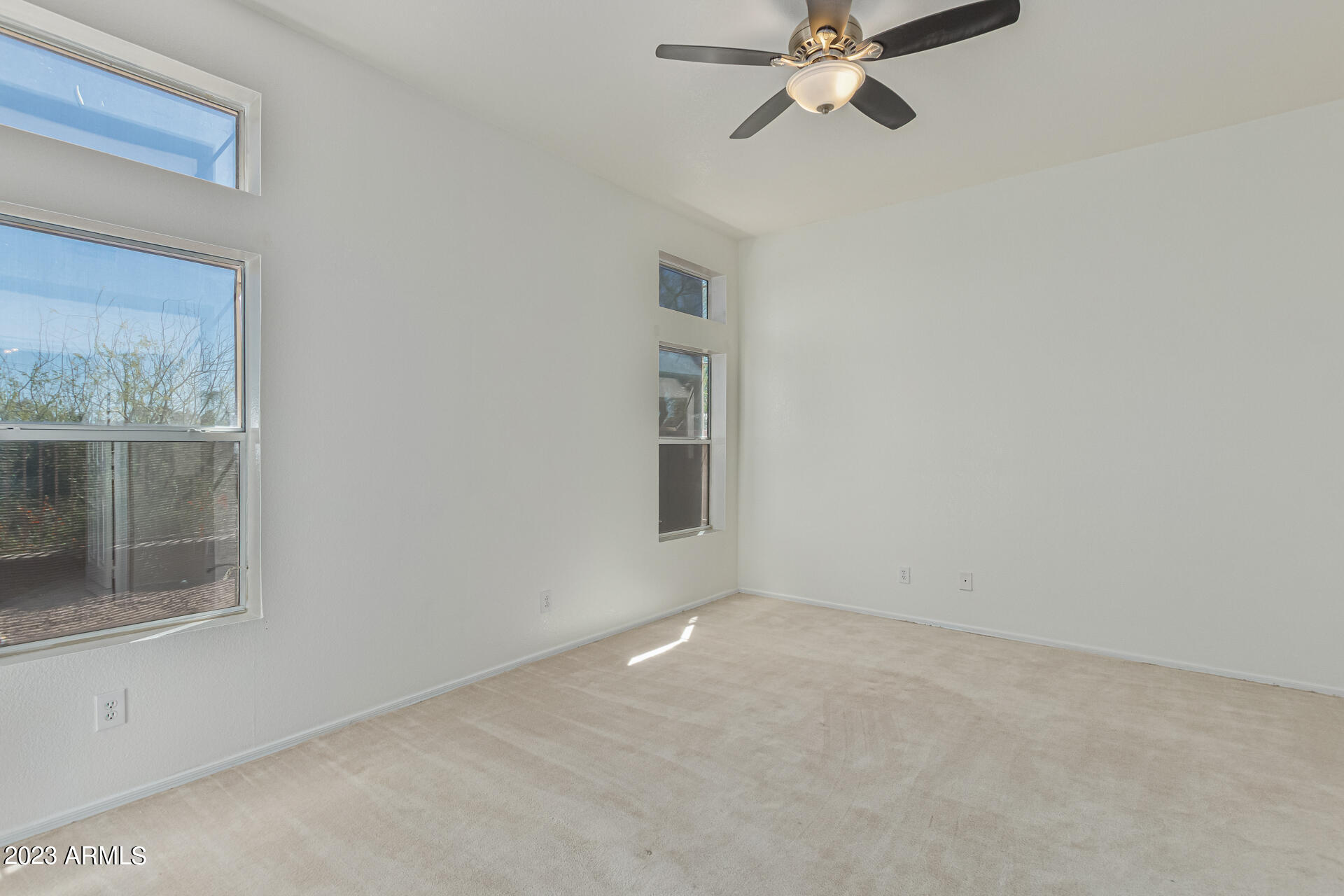 11652 W PRICKLY PEAR Court