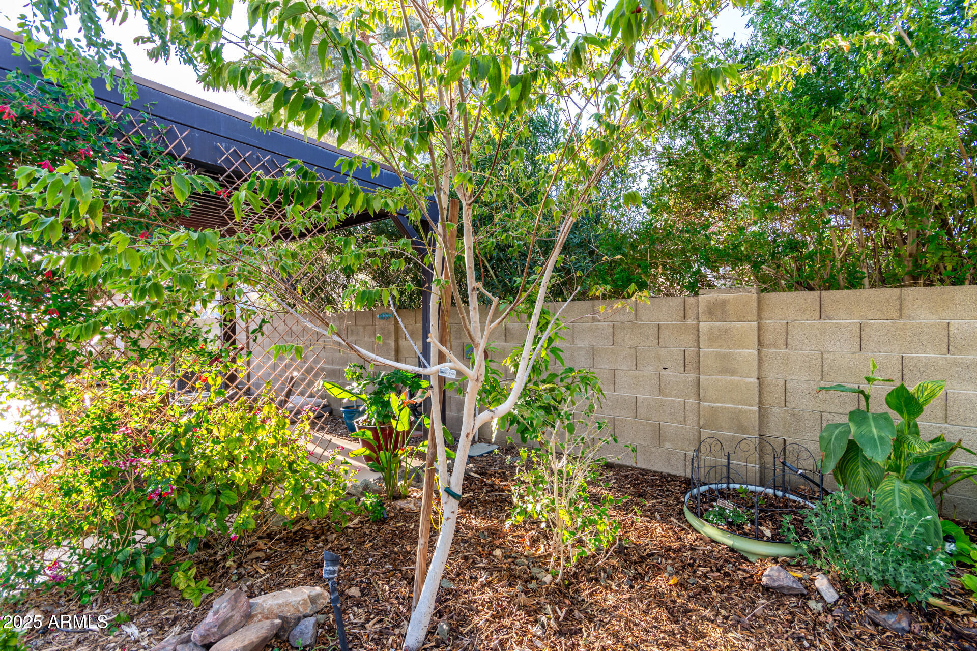 6338 E CAMELOT Drive