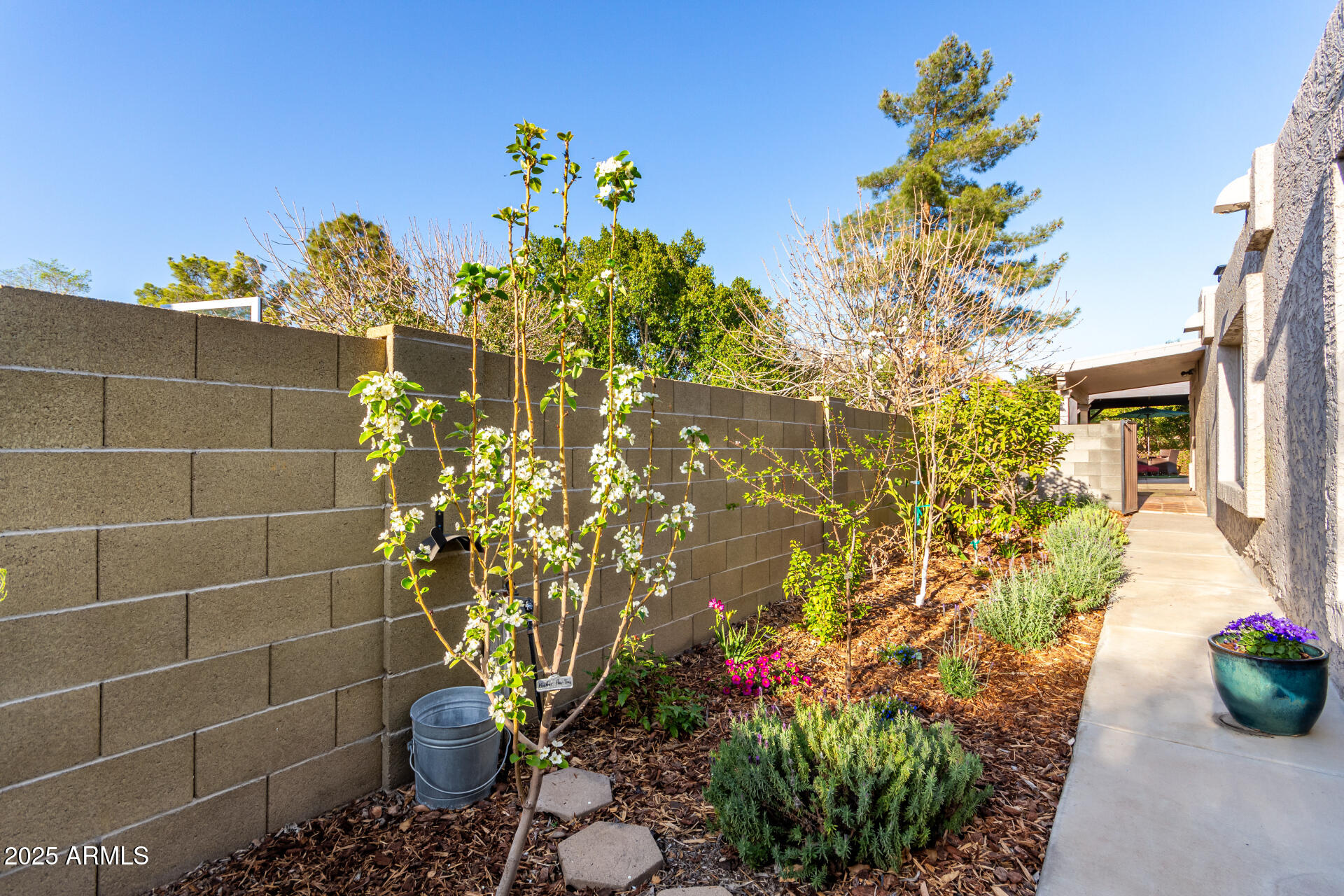 6338 E CAMELOT Drive
